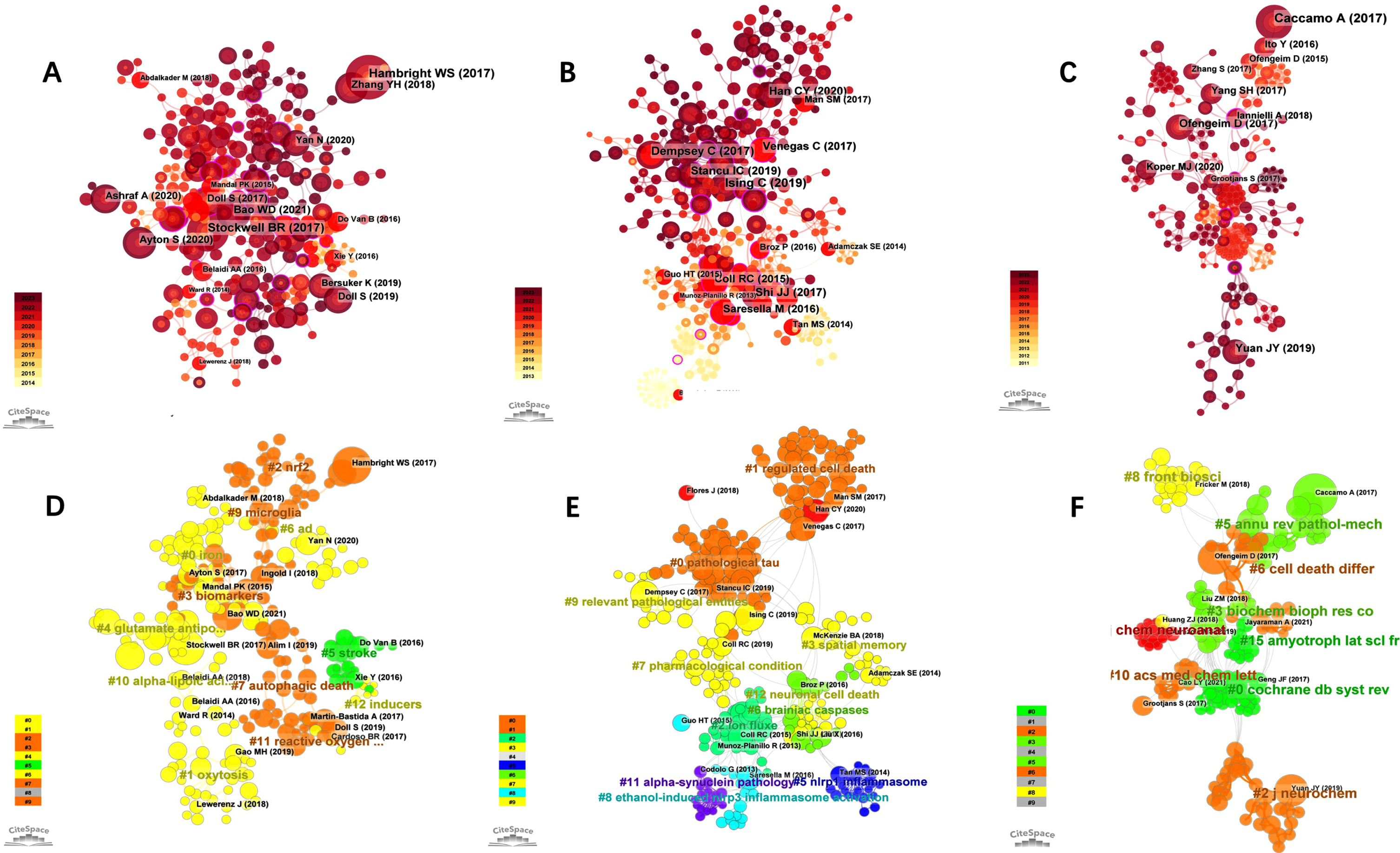Visual analysis of most commonly cited references. Visualization of co-cited references related to “Ferroptosis in AD” (A), “Pyroptosis in AD” (B), and “Necroptosis in AD” (C). A-C) Nodes are sized according to the number of citations. Cluster analysis of co-cited references related to “Ferroptosis in AD” (D), “Pyroptosis in AD” (E), and “Necroptosis in AD” (F).