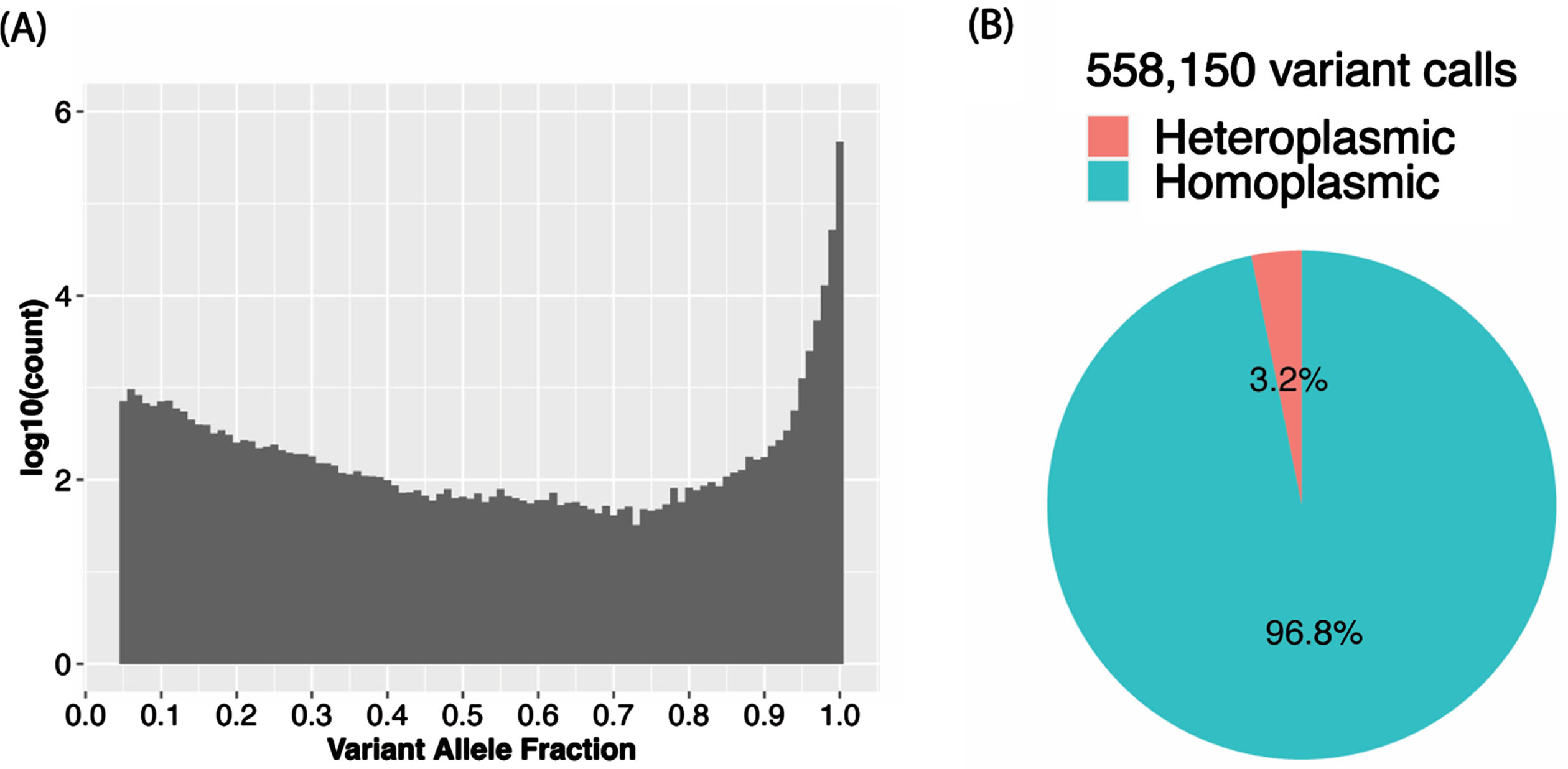 Among individuals in the total sample, (A) variant allele fraction (VAF) distribution of mtDNA variant calls and (B) proportion of heteroplasmic calls and homoplasmic calls.