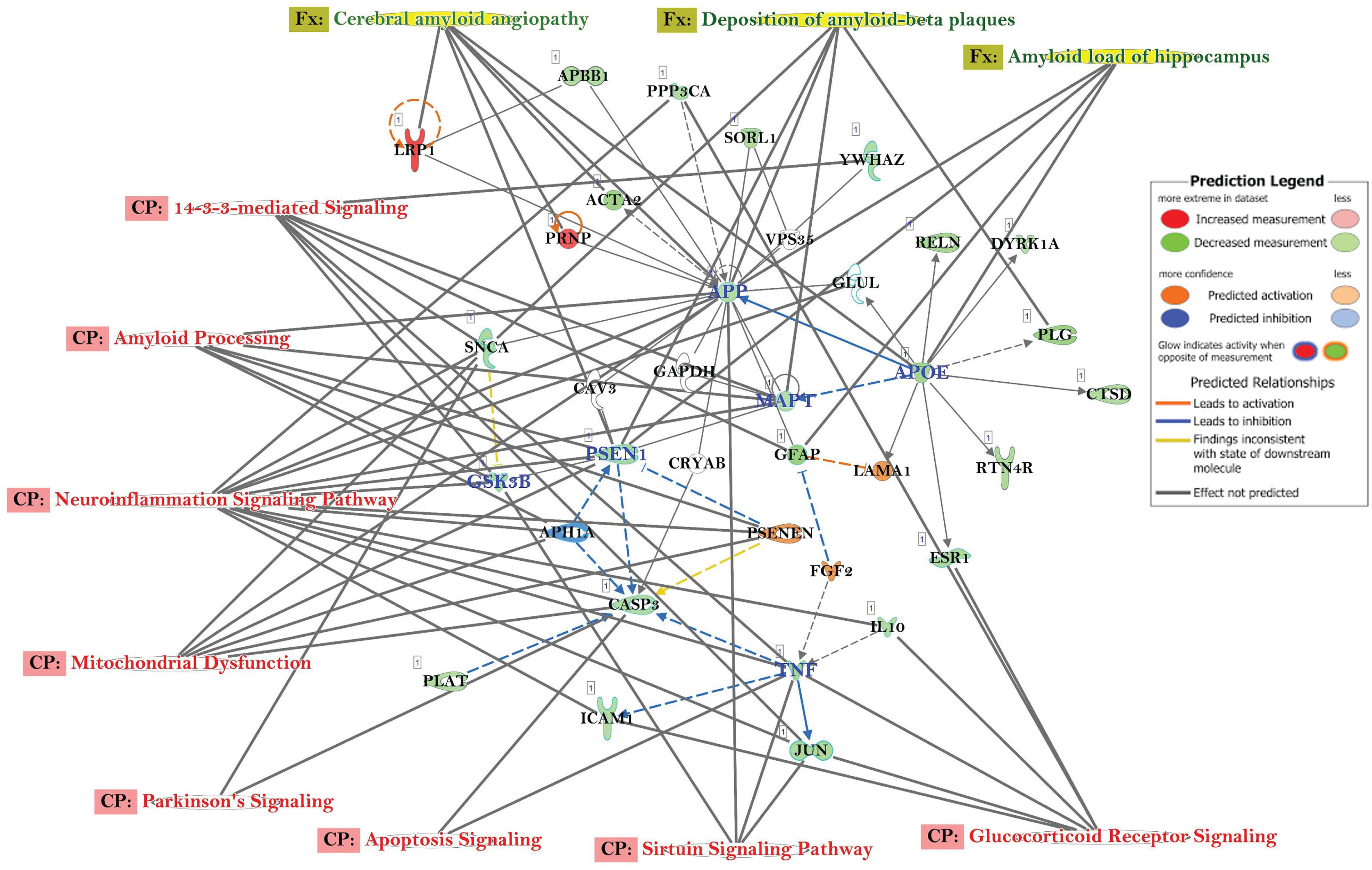 Network of differentially expressed genes in the important signaling pathways in the AD participants, relative to healthy control subjects. Connections between differentially expressed genes were processed for those with≥2-fold change, t-test, p < 0.05. Geometric figures in red denote upregulated genes, and those that are green indicate downregulation. Canonical pathways for signaling that are highly represented are shown within the box. Genes in uncolored notes were integrated into computational generated networks based on evidence stored in the IPA knowledge base.