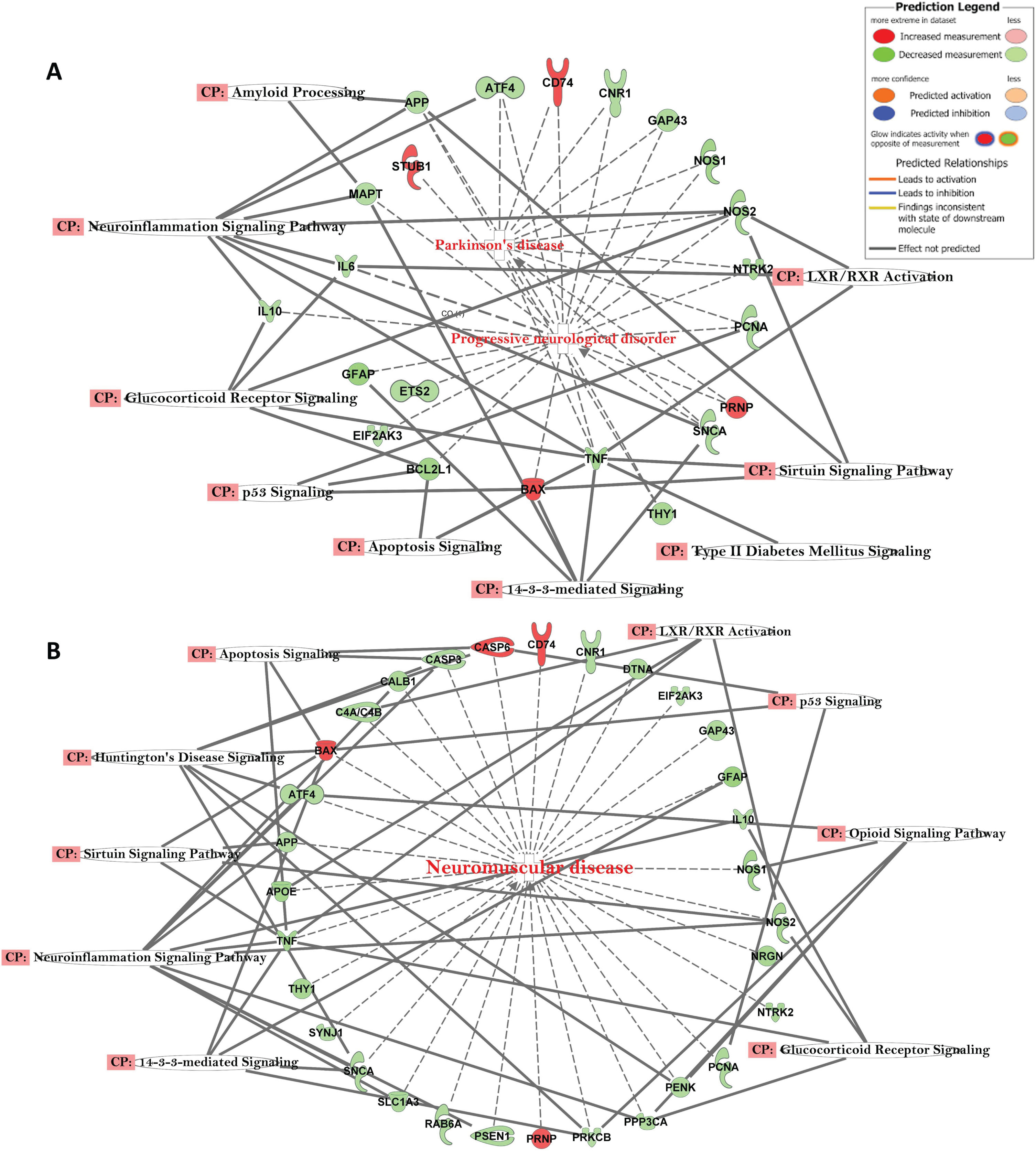 A) Network of differentially expressed genes in the important signaling pathways of progressive neurological disorders and linked with Parkinson’s disease in AD subjects. B) Network of differentially expressed genes in the important signaling pathways of progressive neurological disorders linked with neuromuscular disease in AD subjects.