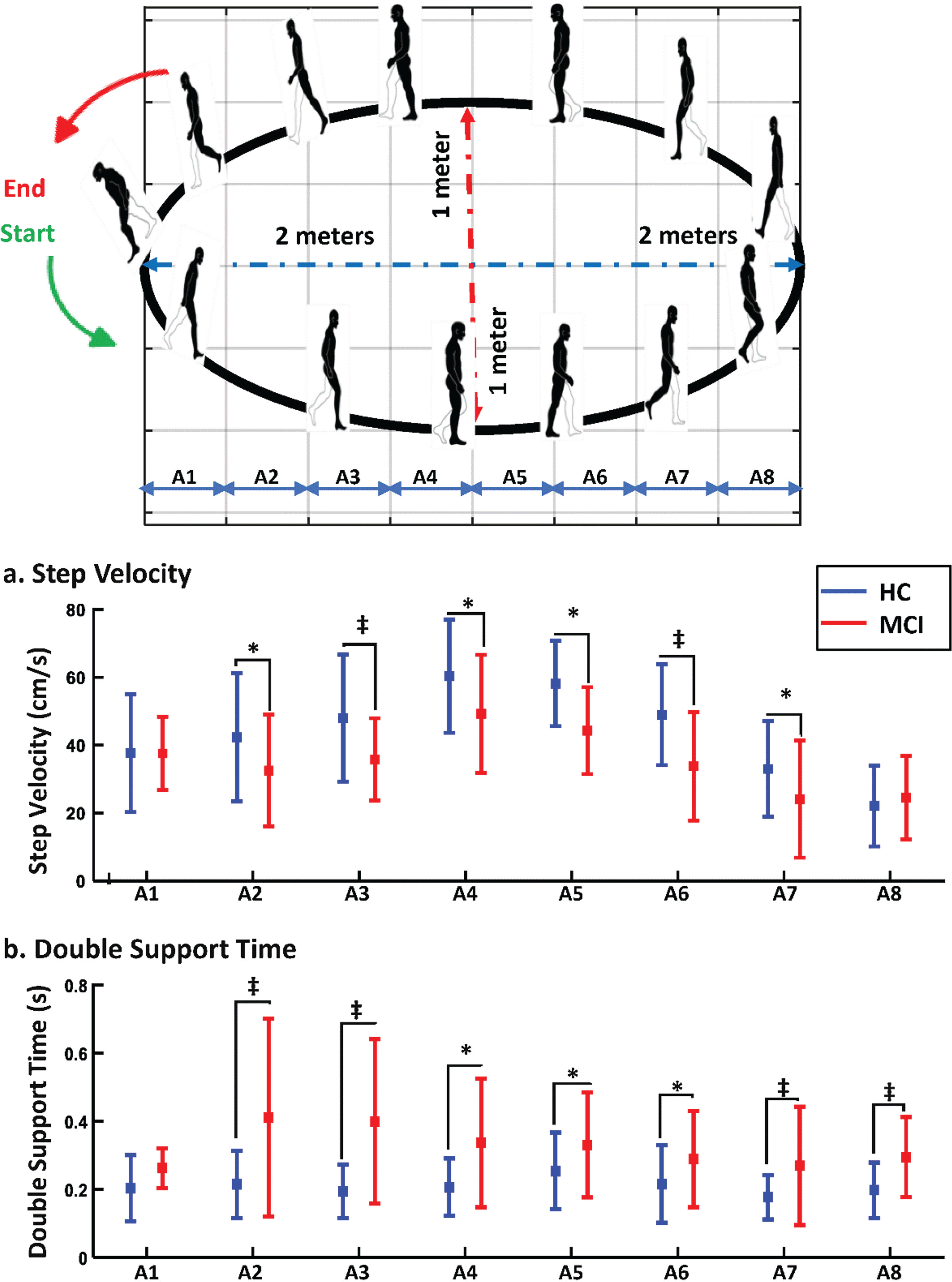 Comparison of gait markers between two study groups in various areas of curved path walking. This figure illustrates the comparative analysis of various gait markers between the two study groups across distinct sections of the curved path, labeled as sections A1 through A8. Each section represents a specific segment along the curved trajectory. *Shows the significant difference for p-value <0.05 and ‡shows the significant difference for p-value <0.005.
