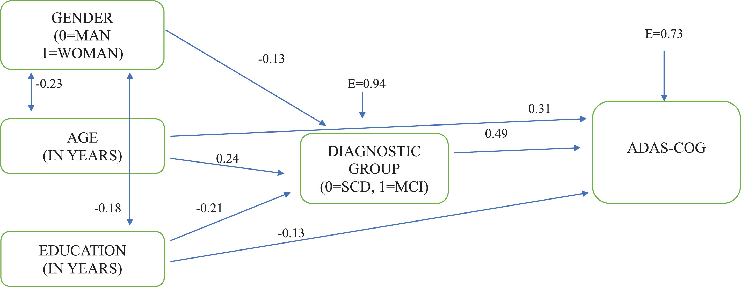 The directional relationships between demographic factors, diagnostic group, and ADAS-COG total score. *All paths are significant at p < 0.05; E, measurement error.