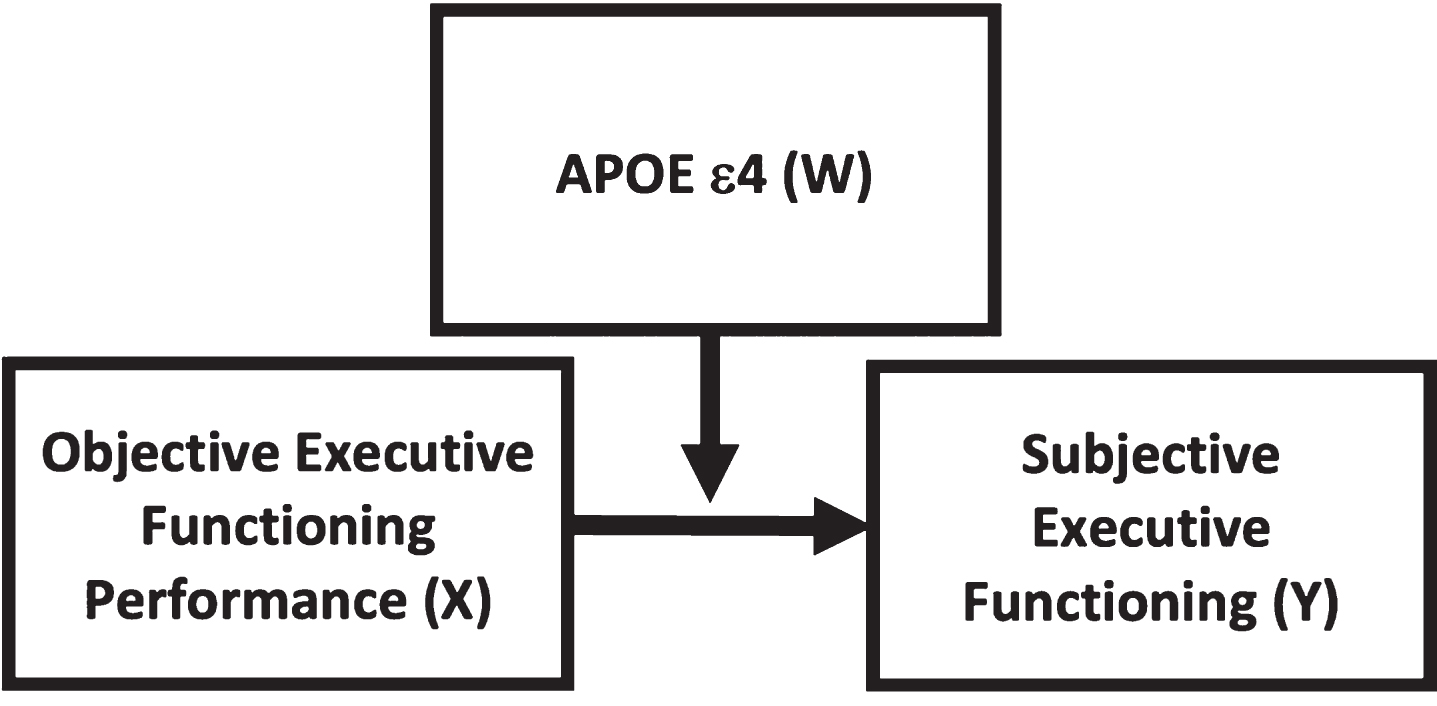 Theoretical model depicting APOE ɛ4 (W) moderating the relationship between objective executive functioning (X, predictor) and subjective executive functioning (Y, outcome).