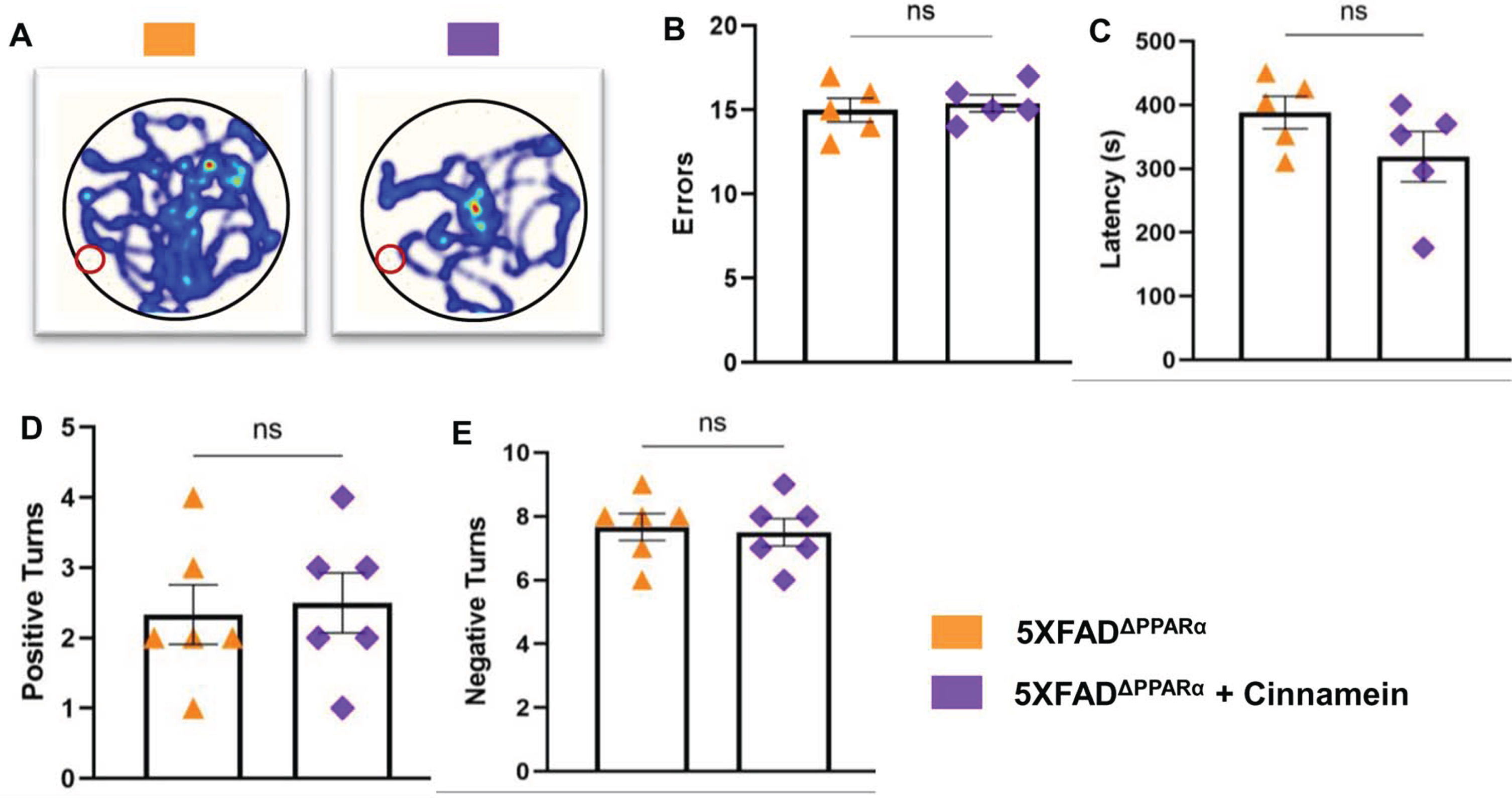 Cinnamein improves memory and learning via PPARα. Six-month-old 5XFAD and 5X FADΔPPARα mice (n = 5 per group) were administered cinnamein orally (50 mg/kg/day) for one month followed by monitoring spatial learning and memory by Barnes maze (A, heatmap; B, error; C, latency) and T maze (D, positive turns; E, negative turns). All data, analyzed with Prism, represent the mean±SEM. One-way ANOVA followed by Šìdák’s multiple comparisons test was used for statistical analysis. *p < 0.05; ***p < 0.001; ****p < 0.0001; ns, not significant.