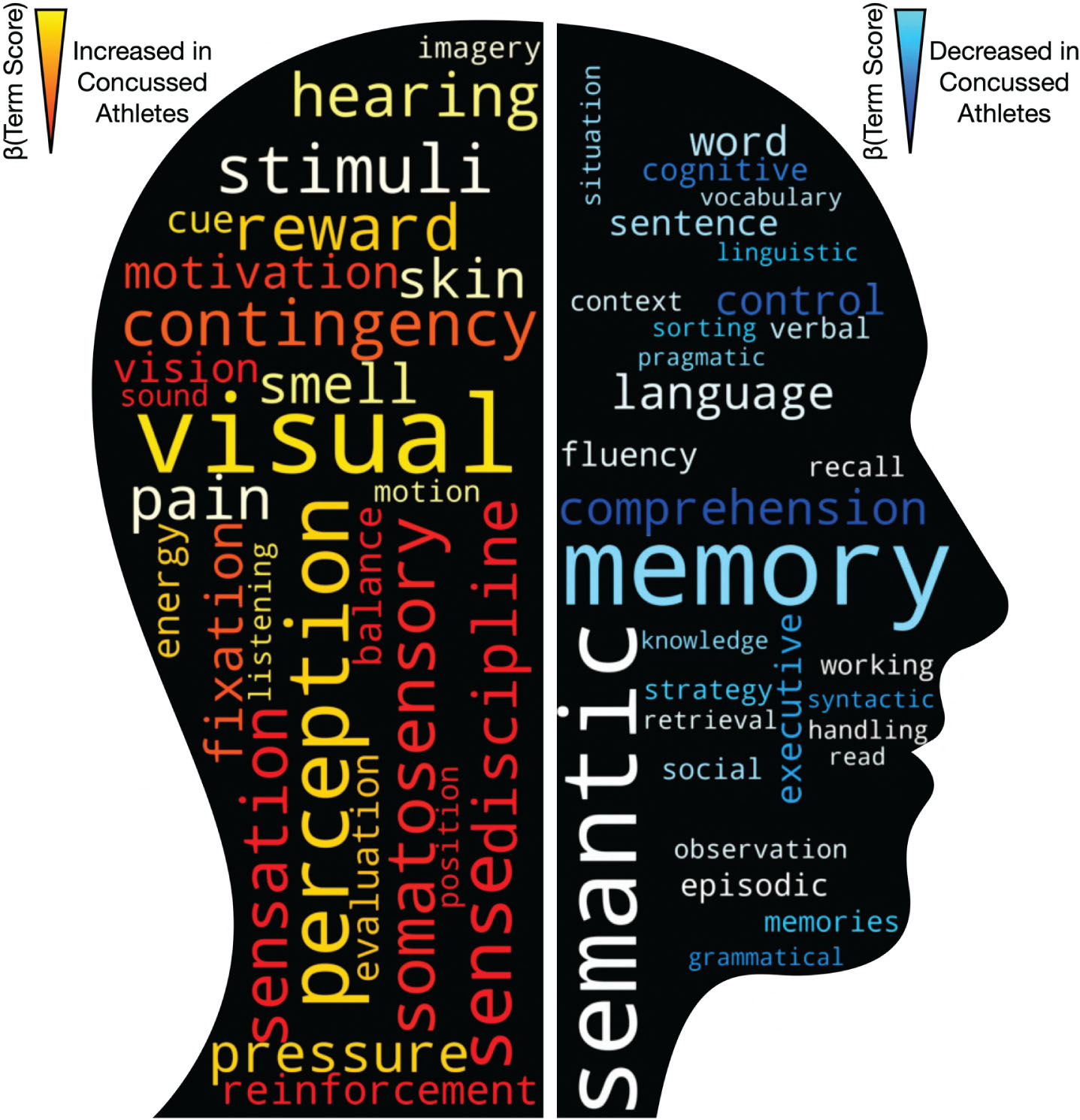 Word-cloud representations of meta-analytic function analysis, derived from 13,459 neuroimaging studies encompassing 5,144 activation pattern terms. Text increasingly red-orange-yellow are those functions putatively enhanced within the athlete group, compared to controls. Reciprocally, text increasingly blue-light blue are those functions putatively attenuated within the athlete group.