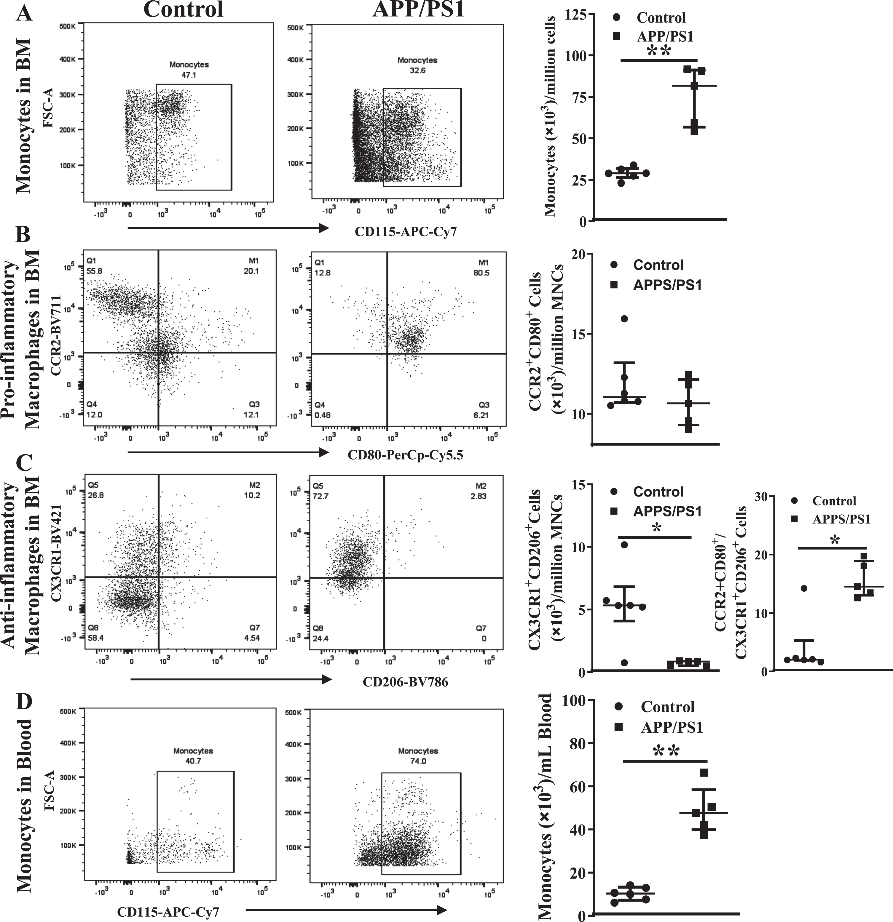 Increased numbers of monocyte-macrophages in the circulation and the bone marrow of APP/PS1 mice. Representative flow cytometry dot plots for the enumeration of monocyte-macrophages in the bone marrow (A– C) and blood (D). Monocytes (CD45+Ly6G−Ly6C+CD115+) were higher (**p < 0.01) (A) and the anti-inflammatory macrophages (CD45+CD11b+Ly6G−Ly6C+F4/80+CX3CR1+CD206+) were lower (*p < 0.05) (B) in the APP/PS1 bone marrow (n = 6) compared to that in the control (n = 5) while the pro-inflammatory macrophages (CD45+CD11b+Ly6G−Ly6C+F4/80+CCR2+CD80+) (C) were not different. Ratios of pro-/anti-inflammatory macrophages were significantly higher in the APP/PS1 bone marrow compared to the control (*p < 0.05). The number of monocytes in the circulation was higher (D) in the APP/PS1 compared to control (**p < 0.01). Mann-Whitney test was used to analyze the datasets for statistical significance.