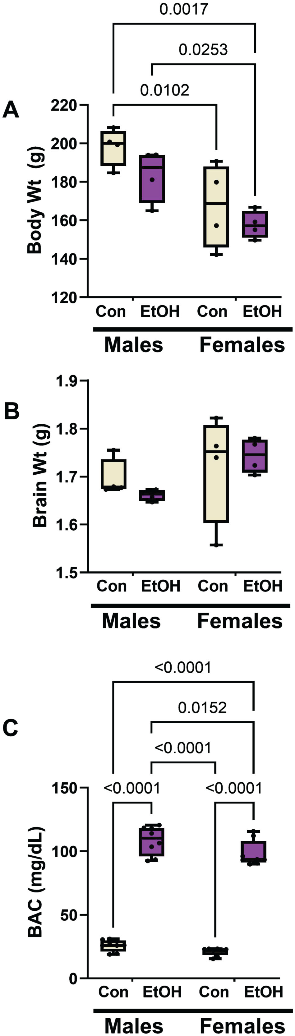 Moderate alcohol exposure effects on body weight, brain weight, blood alcohol concentration by sex. Long Evans male and female rats were maintained on isocaloric liquid diets containing 0% (control) or 24% ethanol (n = 8/group) for two weeks. A) Terminal mean body weights differed significantly by sex but not ethanol feeding. B) The mean brain weights did not differ significantly among the groups. C) Blood alcohol concentrations were significantly elevated by chronic ethanol feeding in both male and female rats. Results were analyzed by two-way mixed model ANOVA (Table 2) with post hoc Tukey tests. Significant inter-group differences are shown within the panels.