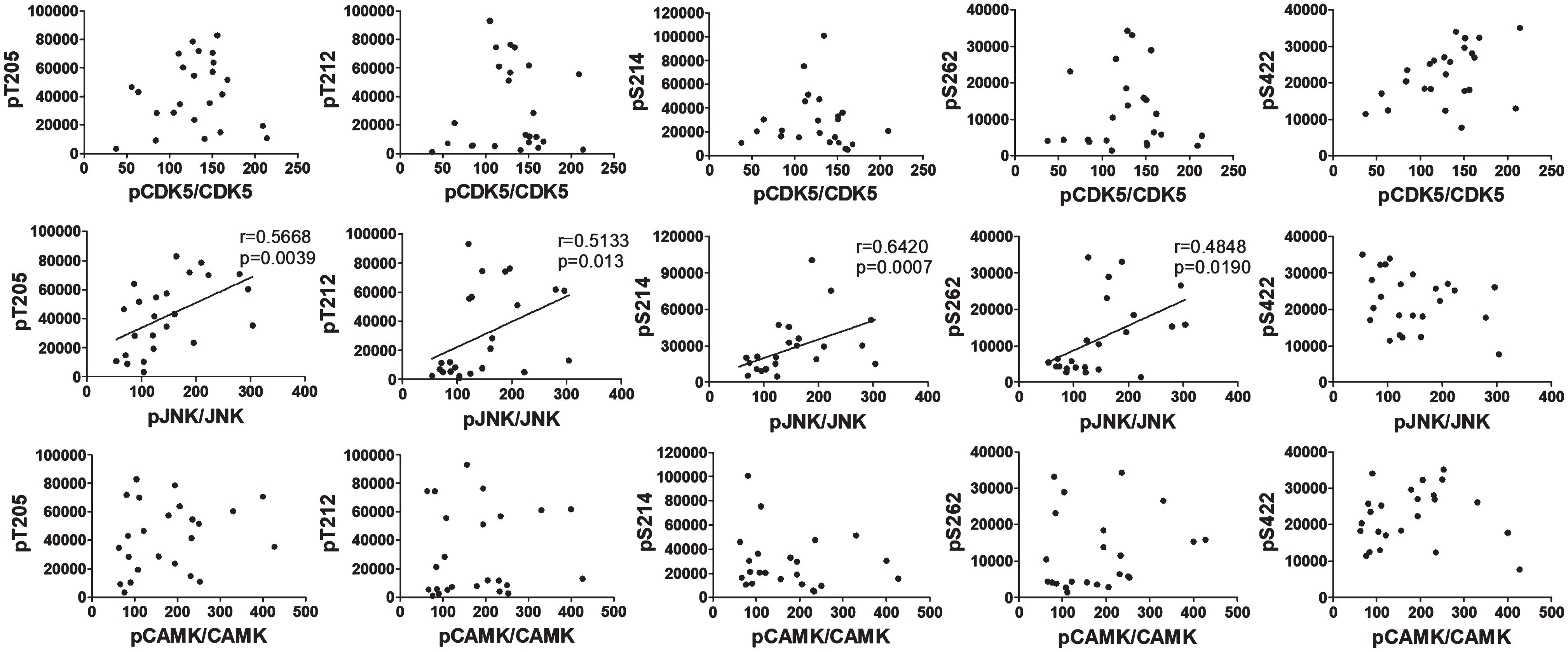 Correlation analysis between phosphorylation of tau and phosphorylation/activation of CDK5, JNK, and CAMK-II. The phosphorylation levels of tau at the indicated sites of brain samples were plotted against the phosphorylation/activation of CDK5, JNK, and CAMK-II and analyzed using Spearman correlation. The linear correlation lines, correlation coefficients (r values), and p values are included in the graphs only if they are statistically significant.