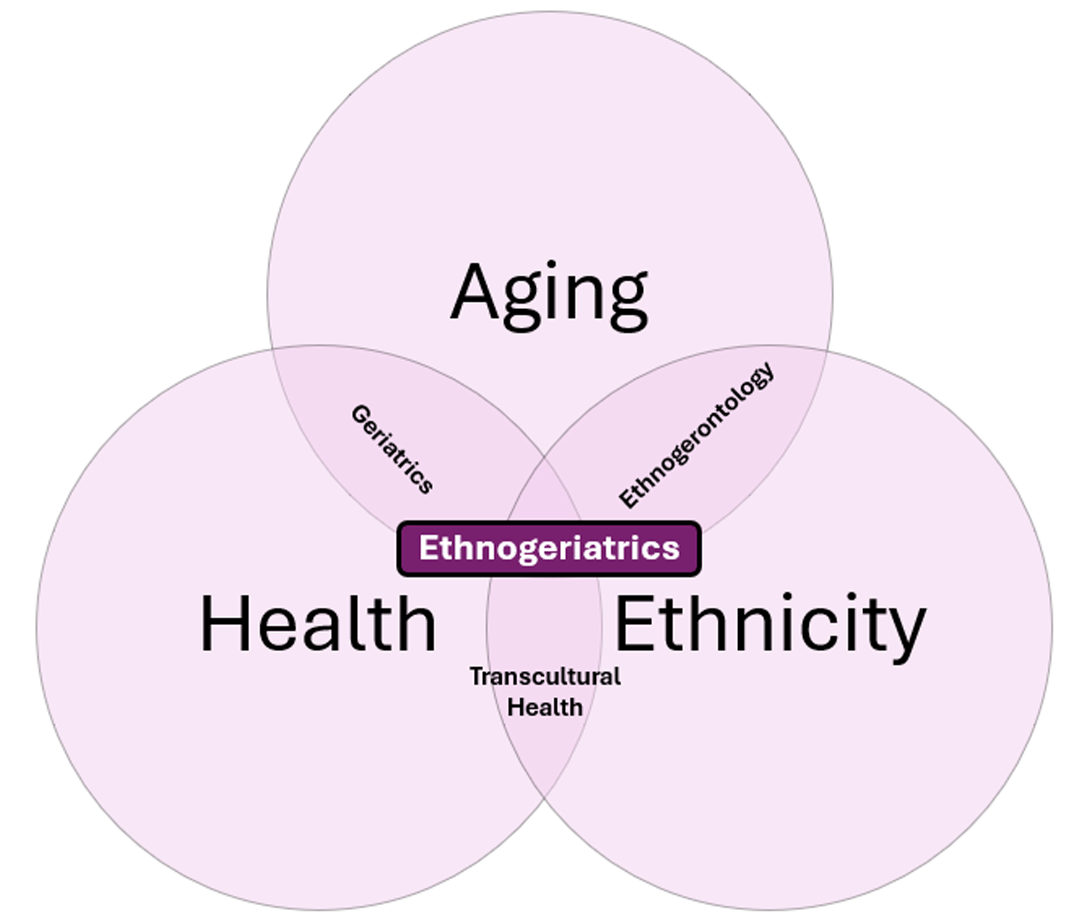 Ethnogeriatrics refers to the healthcare of elderly individuals, focusing on the convergence of aging, health, ethnicity, and culture.