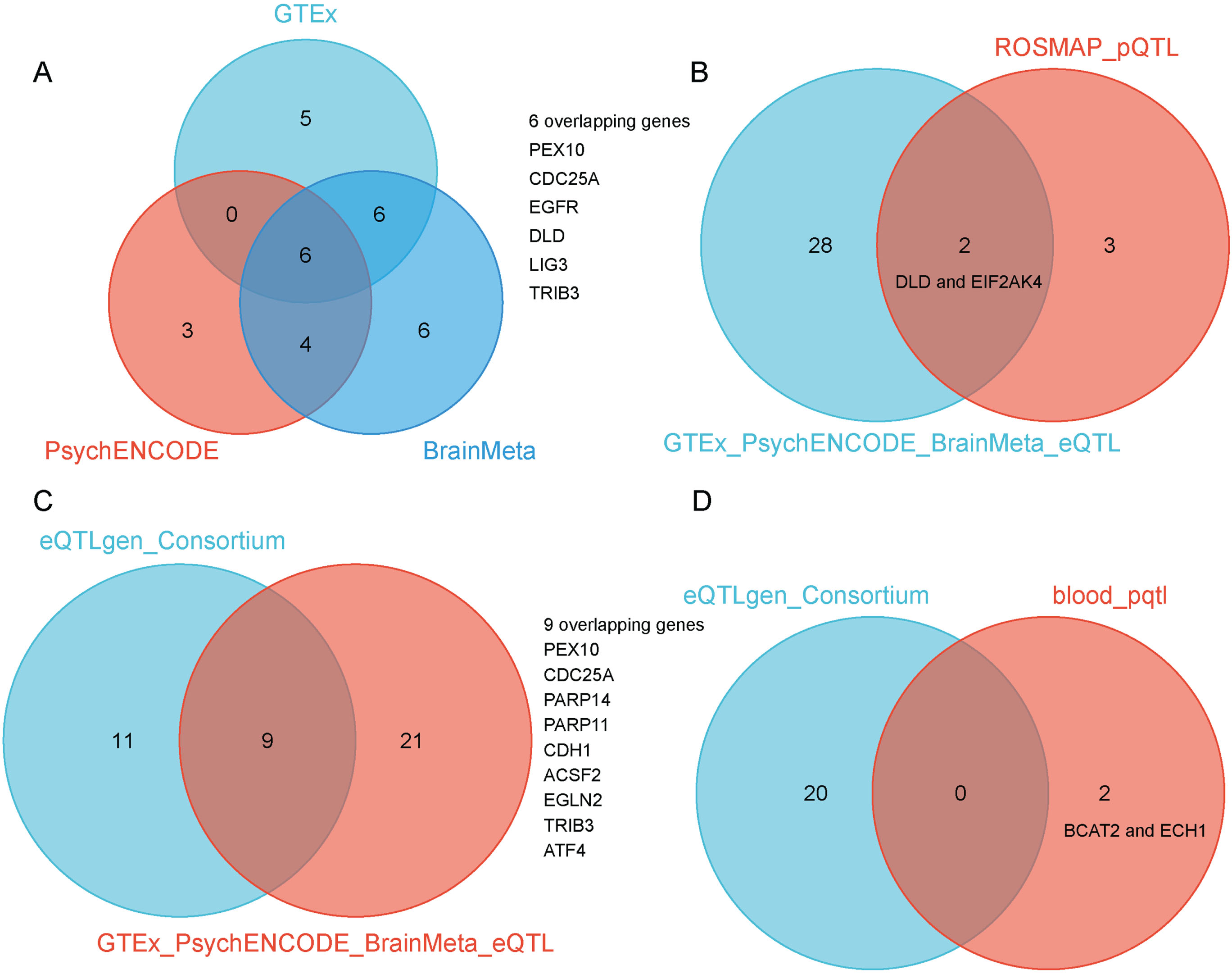 A) SMR method identified six overlapping ferroptosis-related gene targets associated with AD when using GTEx, PsychENCODE, and BrainMeta brain eQTL as genetic instruments, including PEX10, CDC25A, EGFR, DLD, LIG3, and TRIB3. B) Venn diagram showed the intersection of AD risk genes identified by GTEx, PsychENCODE, and BrainMeta brain eQTL and ROSMAP brain pQTL as genetic instruments. C)Venn diagram showed the intersection of AD risk genes identified by GTEx, PsychENCODE, and BrainMeta brain eQTL and eQTLGen blood eQTL as genetic instruments. D) Venn diagram showed the intersection of AD risk genes identified by eQTLGen blood eQTL and blood pQTL as genetic instruments.