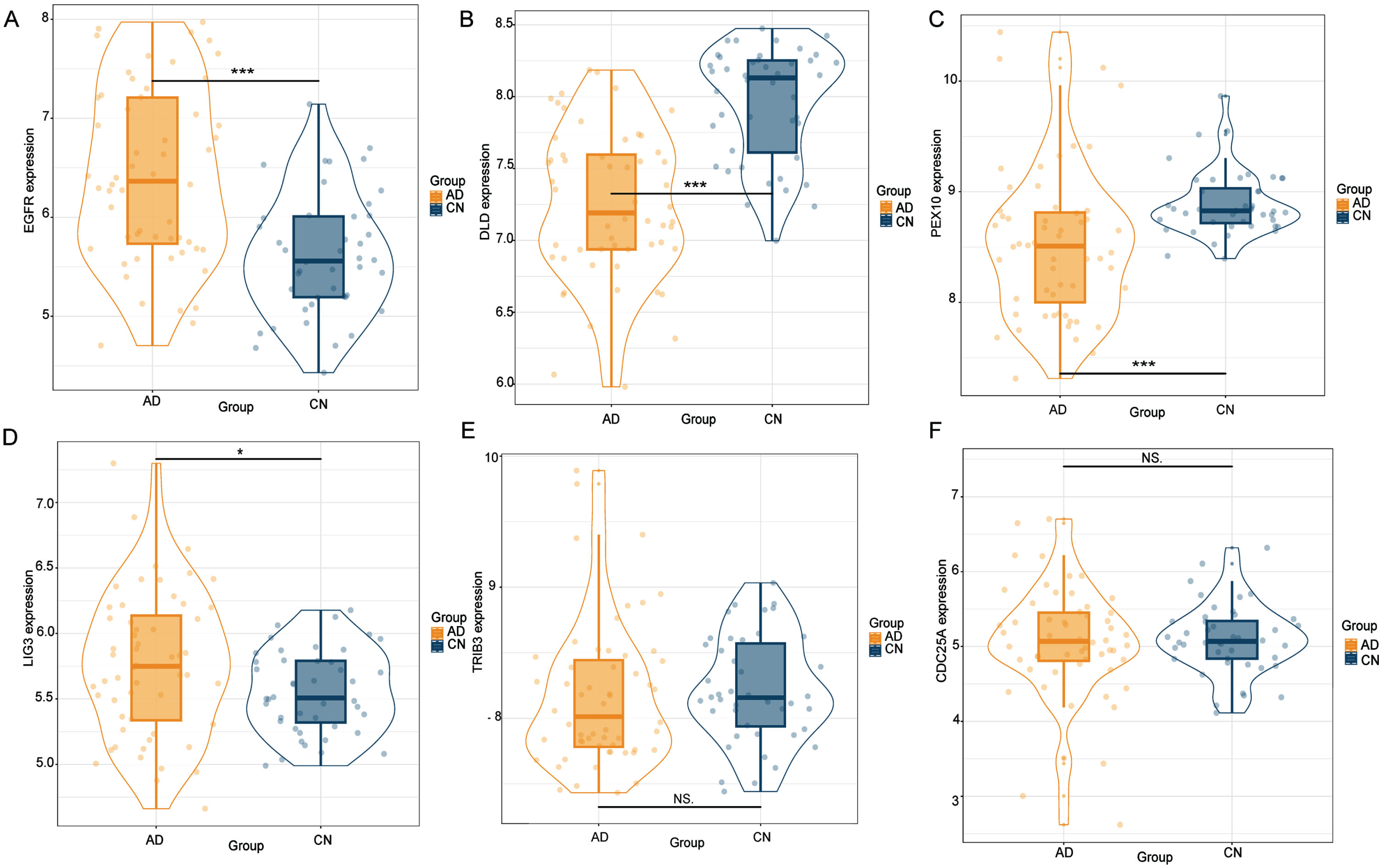 The external transcriptome dataset corroborated the identification of six gene targets through SMR analysis. Notably, EGFR, DLD, PEX10, and LIG3 demonstrated significant expression differences relative to the control group (p < 0.05). Conversely, TRIB3 and CDC25A failed to reach statistical significance.