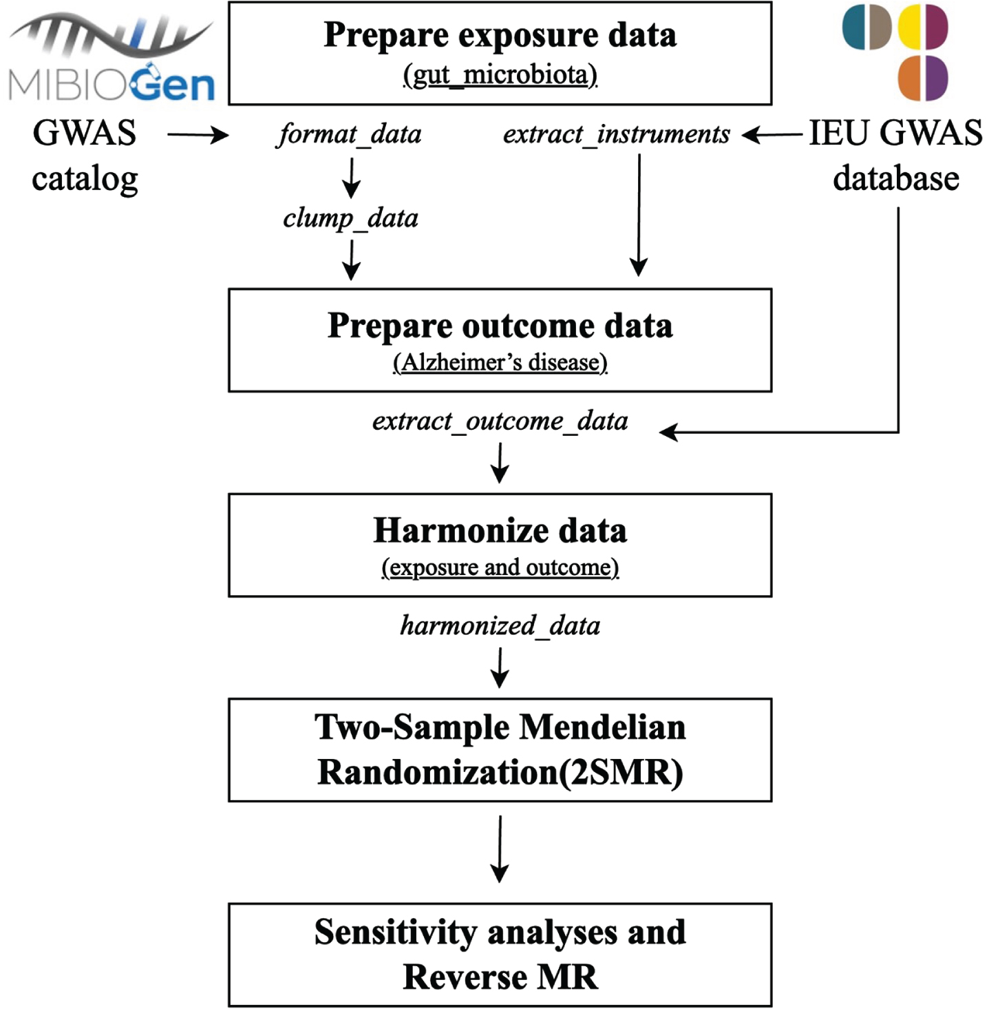 Workflow for performing the two-sample bidirectional Mendelian randomization study. GWAS, genome-wide association study; MR, Mendelian randomization.