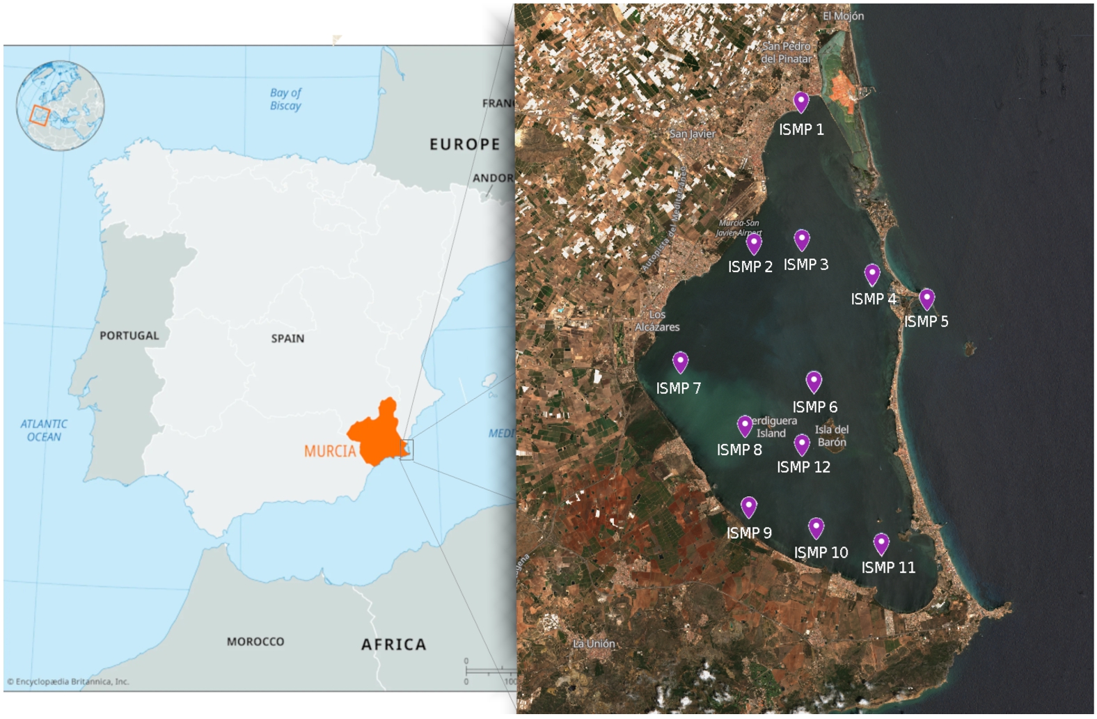 In situ monitoring points (ISMP) undertaken by the Regional Government of Murcia (CARM) in the Mar Menor.