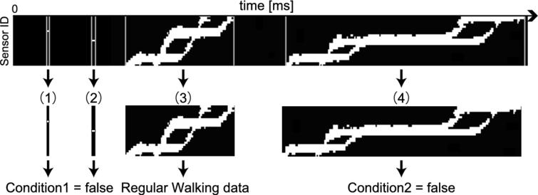 Regular walking data extraction procedure from time-series data.