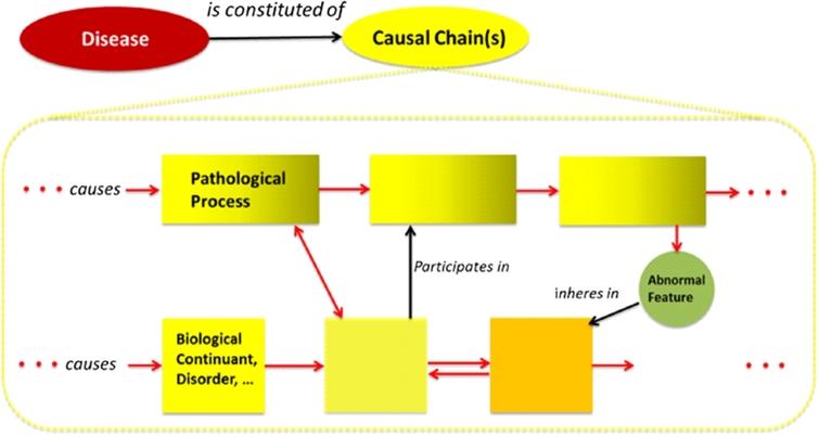 The causal structure of a generic disease causal chain. The dotted yellow lines from the Causal Chain node represent an expansion/zooming. Squares are causally-linked biological continuants. Rectangles are causally-linked processes. Red arrows signify one or more causal relations. Two opposing arrows indicate mutual causal interaction (not necessarily simultaneous, but perhaps causal feedback mechanisms). These represent different ways to model causal chains. Statements about continuants causing others may be defined in terms of their participation in causal processes, for instance. (The colors are visible in the online version of the article; http://dx.doi.org/10.3233/AO-150147.)