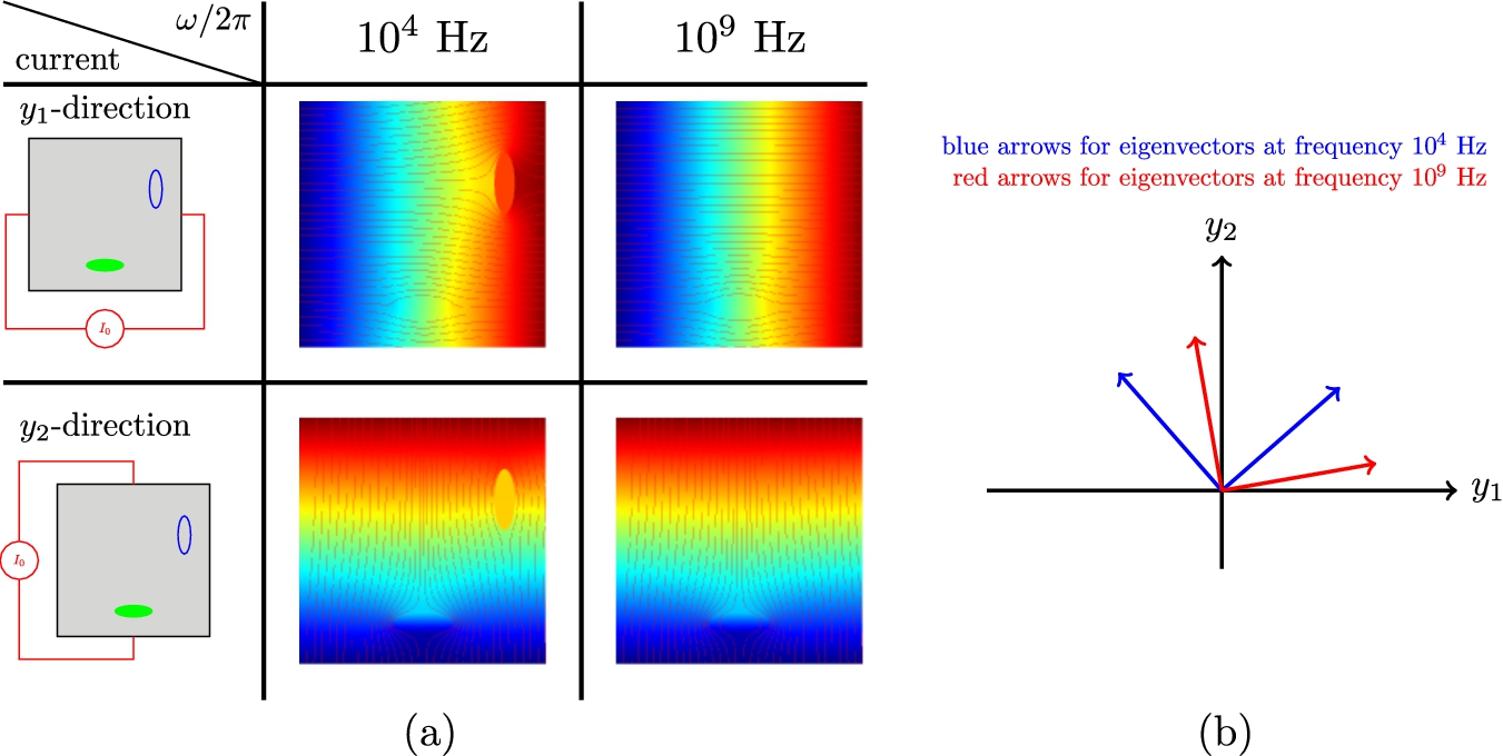(a) shows voltage map with current flows for each y1- and y2-direction current at 104 and 109 Hz. (b) shows eigenvectors of the effective conductivity. Blue arrows represent eigenvectors at frequency ω/2π=104 Hz while red arrows are representing eigenvectors at frequency ω/2π=109 Hz.
