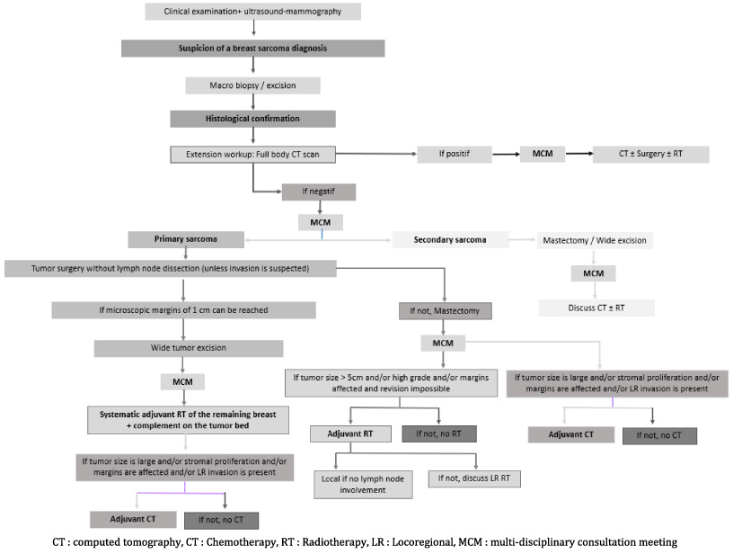 Decision matrix for therapeutic management in primary breast sarcoma.