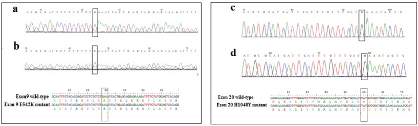Chromatograms and sequence alignment showing the E542K mutation in exon 9 using the amplicons obtained by conventional PCR (a) and by COLD PCR (b). Chromatograms and sequence alignment showing the H1048Y mutation in exon 20 using the amplicons obtained by conventional PCR (c) and by COLD PCR (d).