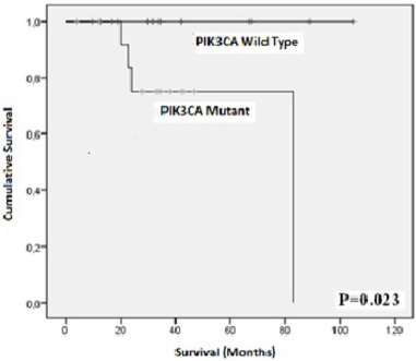 Kaplan Meier plots showing the association of PIK3Ca hotspot mutations with overall survival.