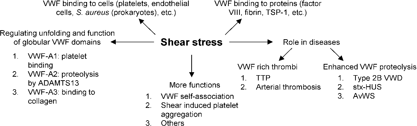 Role of shear stress in VWF related biology. Shear stress exerts force on multimeric VWF and causes structural changes in globular A1, A2 and A3 domains, allowing them to carry out their respective functions. Shear stress also regulates the binding of VWF to various plasma proteins and surface receptors on platelets, endothelial cells and even prokaryotic cells in circulation. In a number of different blood disorders, high shear stress either causes enhanced VWF proteolysis (bleeding disorders) or the formation of VWF-rich thrombi (thrombotic disorders). Finally, shear stress is important for VWF and platelet aggregation in physiology. Abbreviations: Shiga-toxin-hemolytic uremic syndrome (stx-HUS), thrombotic thrombocytopenic purpura (TTP), acquired von Willebrand syndrome (AvWS).