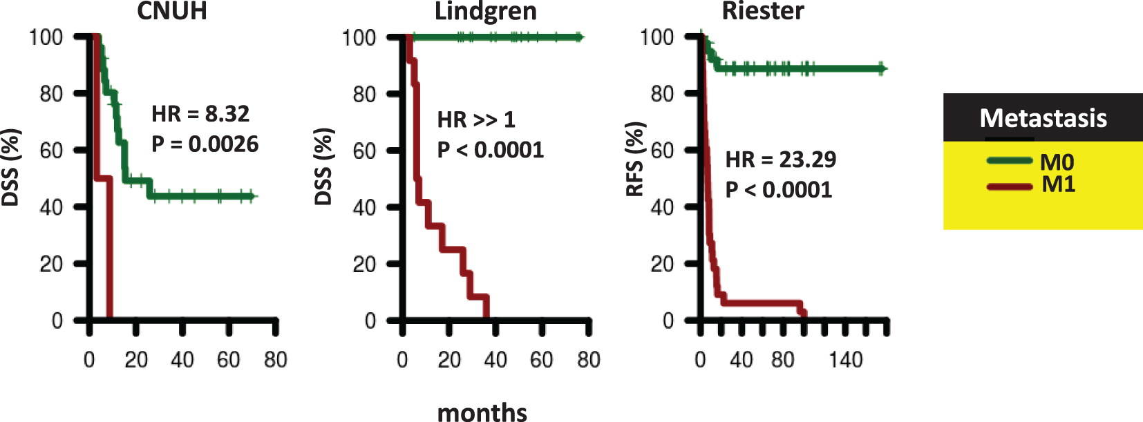 
          Survival of patients according to presence of distant metastases. Kaplan-Meier curves were generated for patients with M0 (green) and M1 (red) tumors in CNUH (N = 28), and Lindgren (N = 32), and Riester (N = 78) cohorts. The hazard ratio (HR) for patients with M1 tumors compared to patients with M0 tumors and the corresponding log-rank P value is reported. Abbreviations: DSS, disease-specific survival; RFS, recurrence-free survival.
        