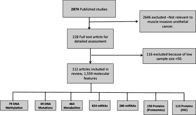 Data retrieval flow for the muscle invasive bladder cancer articles and significant molecular features.