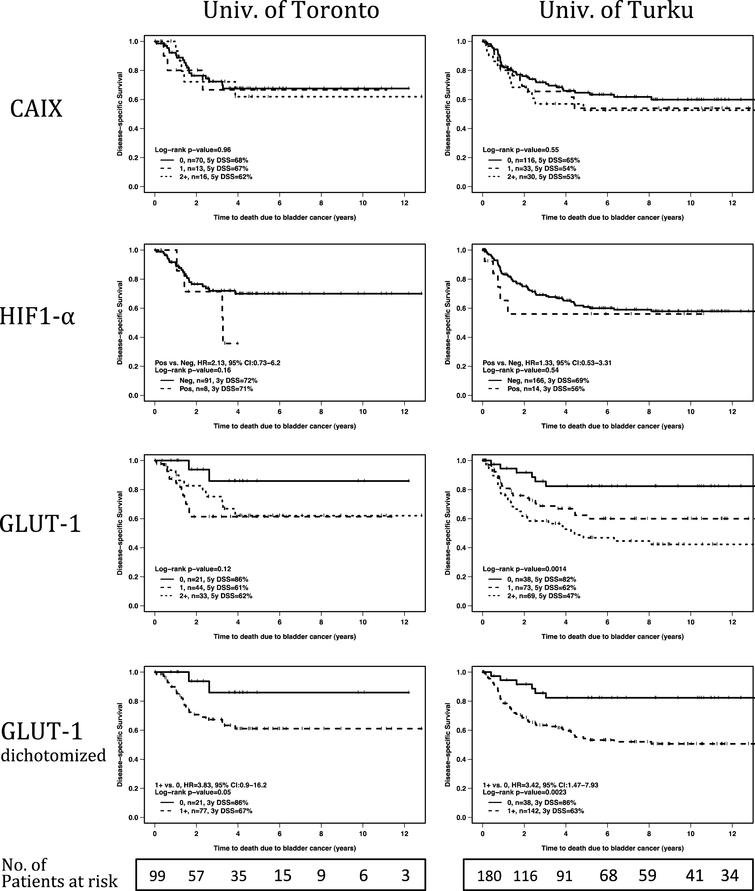 Univariate analyses of marker score association with disease-specific survival. For each hypoxia marker, Kaplan-Meier curves are presented for both study centers. For GLUT-1, in addition to detailed analysis on all intensity levels, also analysis for dichotomized (negative vs. any positive immunosignal) intensity scores are presented. P-values refer to log-rank test.