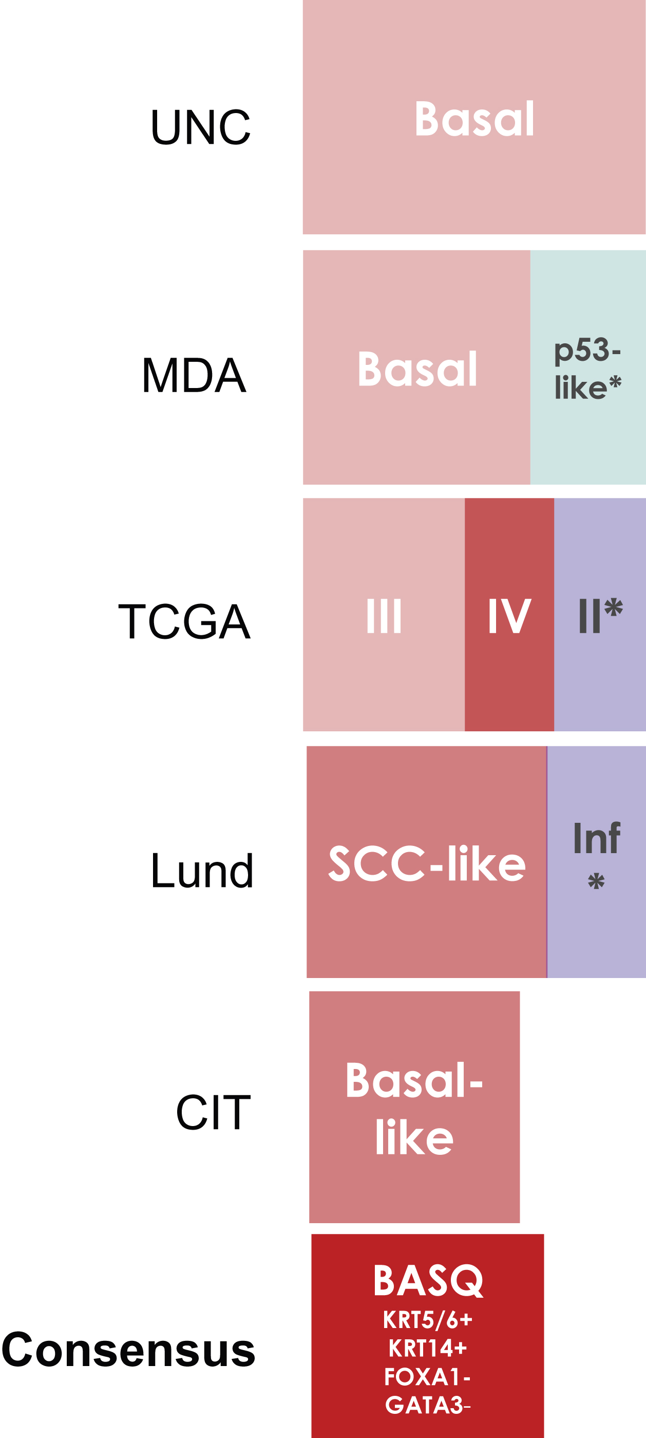 Comparison of the bladder cancer classifications as they relate to the “BASQ” (Basal-Squamous-like) consensus group. In red background, the subtypes that are enriched in this group. Tumor subclasses in other colors (p53-like, TCGA II, Infiltrated) comprise samples that would be included in the BASQ group and others that would not. Tumors in these three categories also express markers typical of urothelial differentiation to a variable extent. In red, the consensus definition of the “BASQ” subtype.