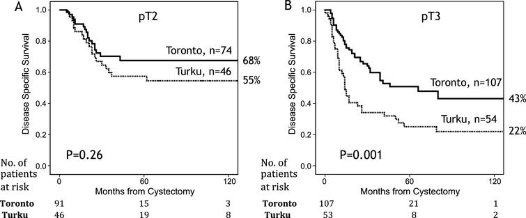 Kaplan-Meier analysis comparing disease specific survival between the University of Toronto and the University of Turku cohorts among pT2 patients (A) and pT3 patients (B).