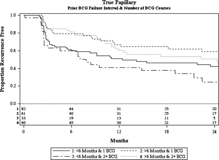 Kaplan-Meier plot of treatment success of intravesical BCG/IFN in BCG Failure patients with recurrent pure papillary disease stratified by prior BCG failure interval and number of prior BCG failures including number at-risk.