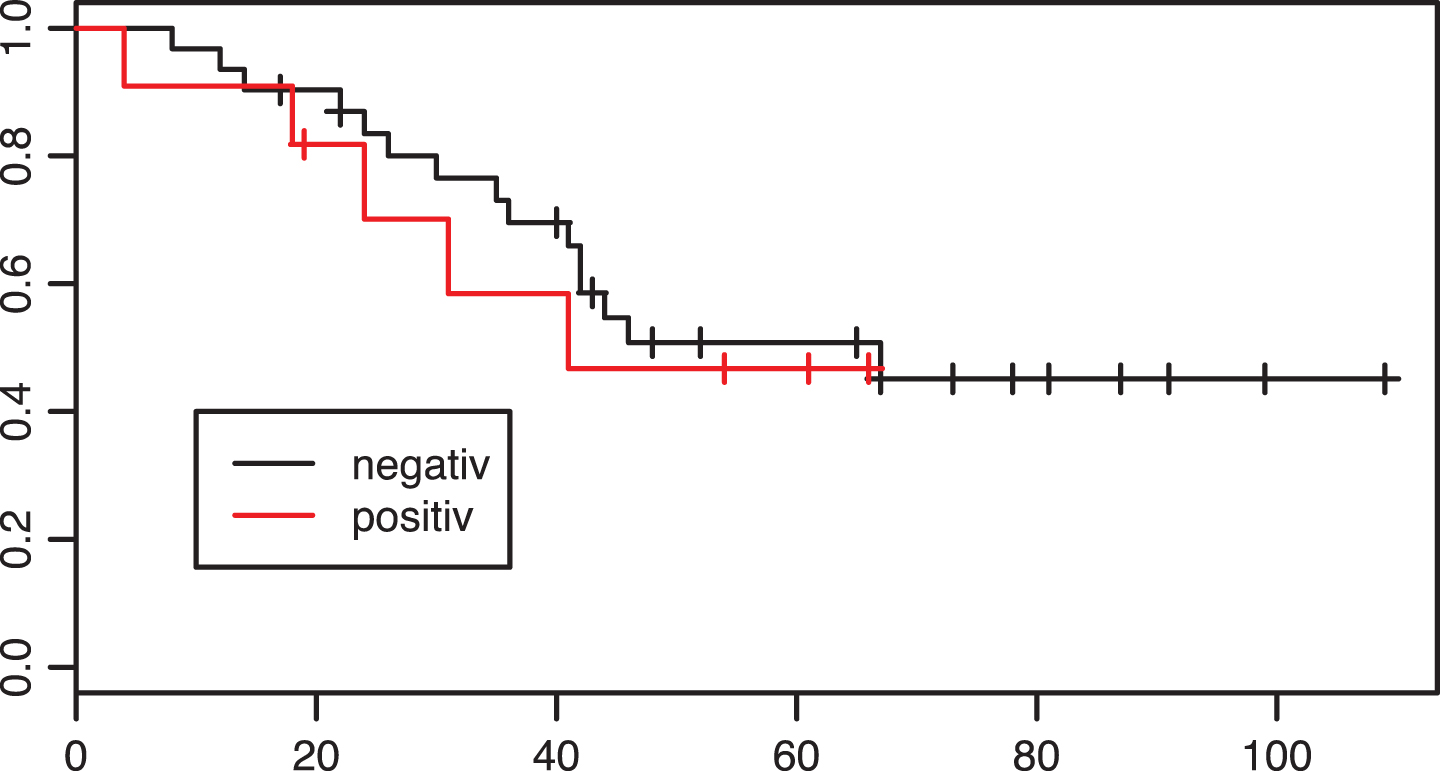 Kaplan-Meier estimates of survival according to PD-L1 tumor status in the adjuvant group. X axis: Overall survival in months. p = 0.63.