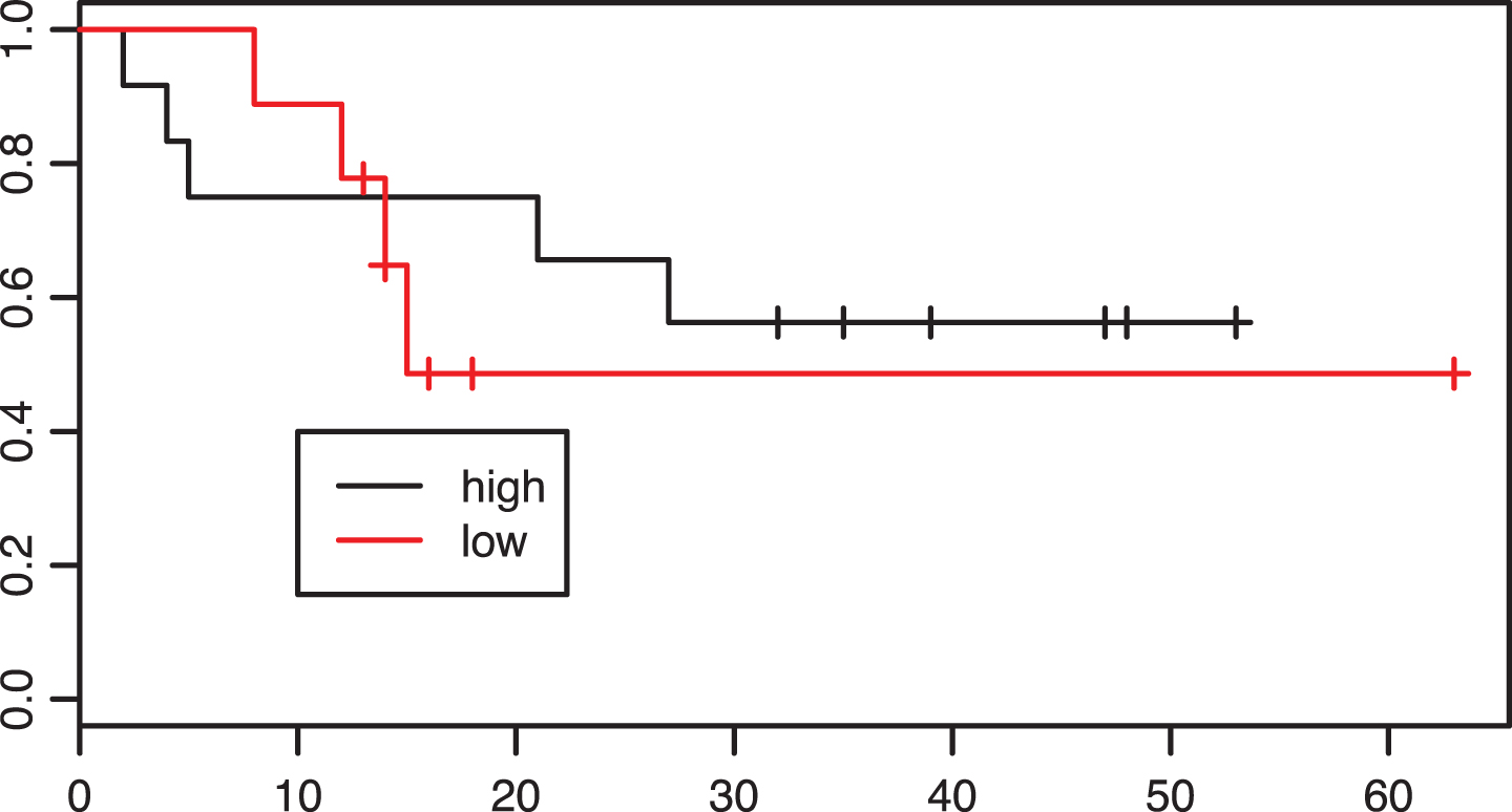 Kaplan-Meier estimates of survival according to intratumoral CD8 infiltration density in the neoadjuvant group. p = 0.61.