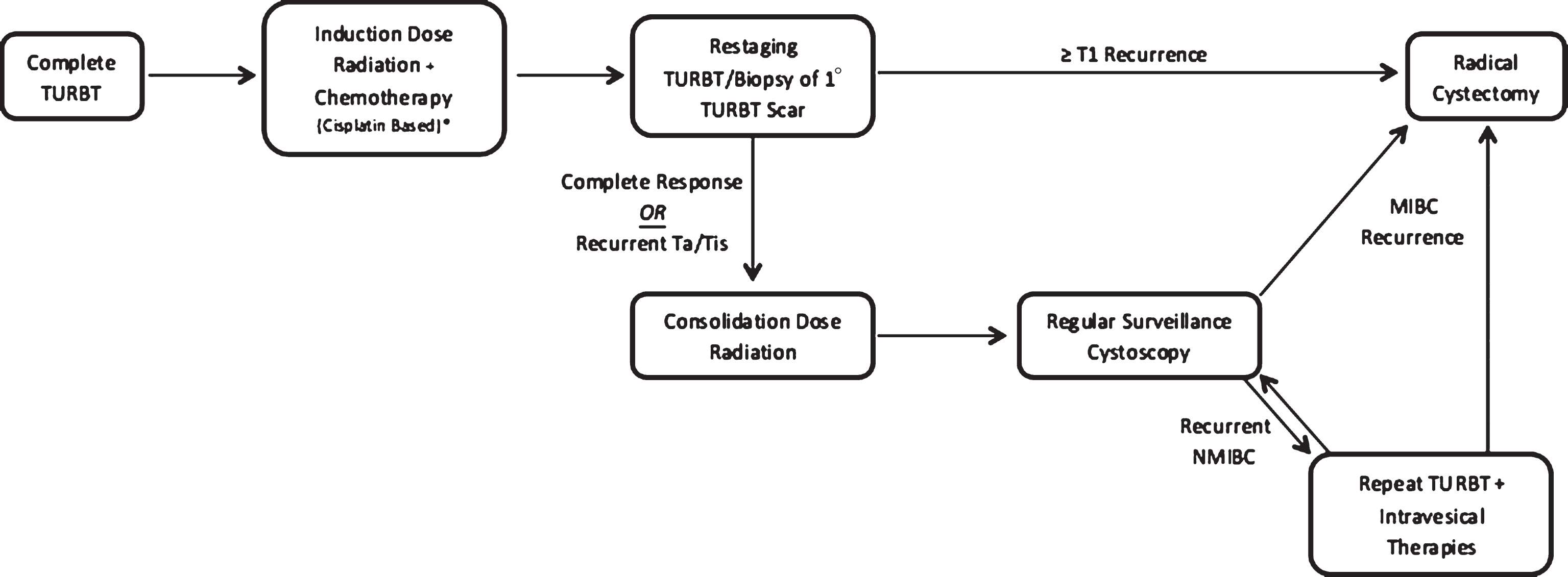 Pictographic representation of continuous-course trimodal therapy regimen.