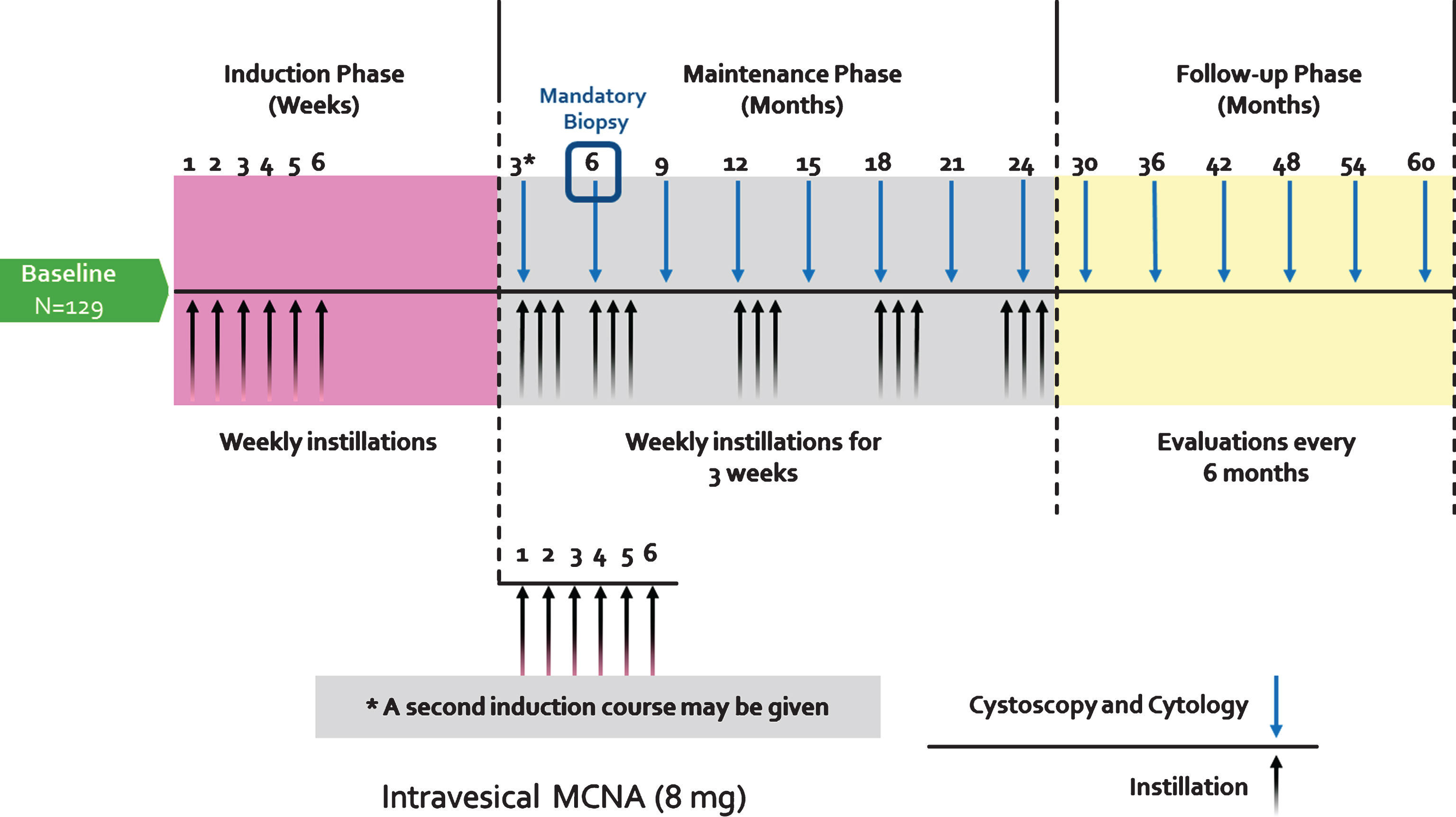 MCNA instillation and followup protocol. A 6-weekly induction phase (8 mg in 50 mL) was followed by a maintenance phase in which patients received 3 or 6 (re-induction) weekly MCNA instillations at month 3 followed by 3 weekly instillations each at months 6, 12, 18 and 24, and 36. During the follow-up phase, cystoscopic evaluations and urine cytologies were conducted every 6 months. (Figure adopted from Morales et al. [1]).