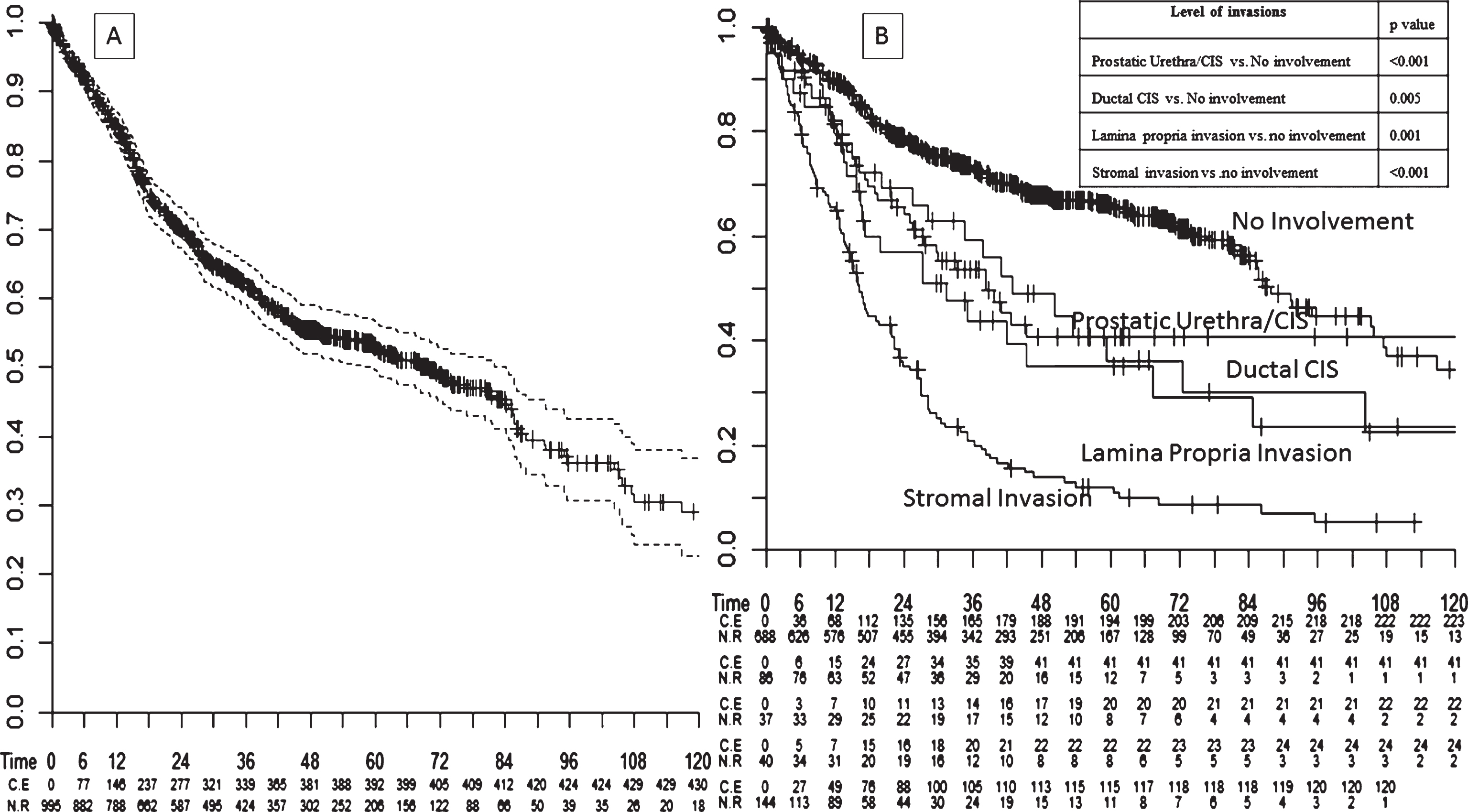 Kaplan-Meier survival analysis assessing (A) overall mortality -free rates in 995 bladder cancer patients treated with radical cystoprostatectomy. Analyses were repeated (B) after stratifying patients according to the level of prostatic invasion (no invasion vs. prostatic urethral CIS vs. lamina propria invasion vs. ductal CIS vs. stromal invasion).