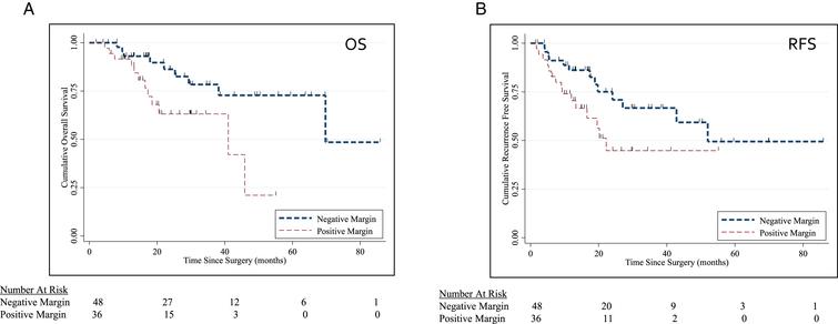 (A-B) Kaplan Meier Curve for OS (p = 0.049) and RFS (p = 0.02) stratified by surgical margin status.