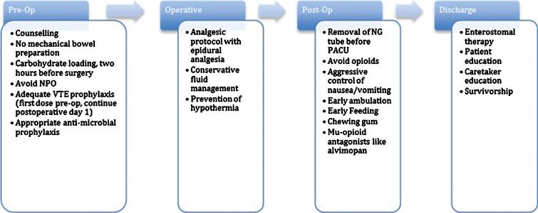 Flow diagram depicting various stages of perioperative treatment during radical cystectomy and the various enhanced recovery protocols for each.