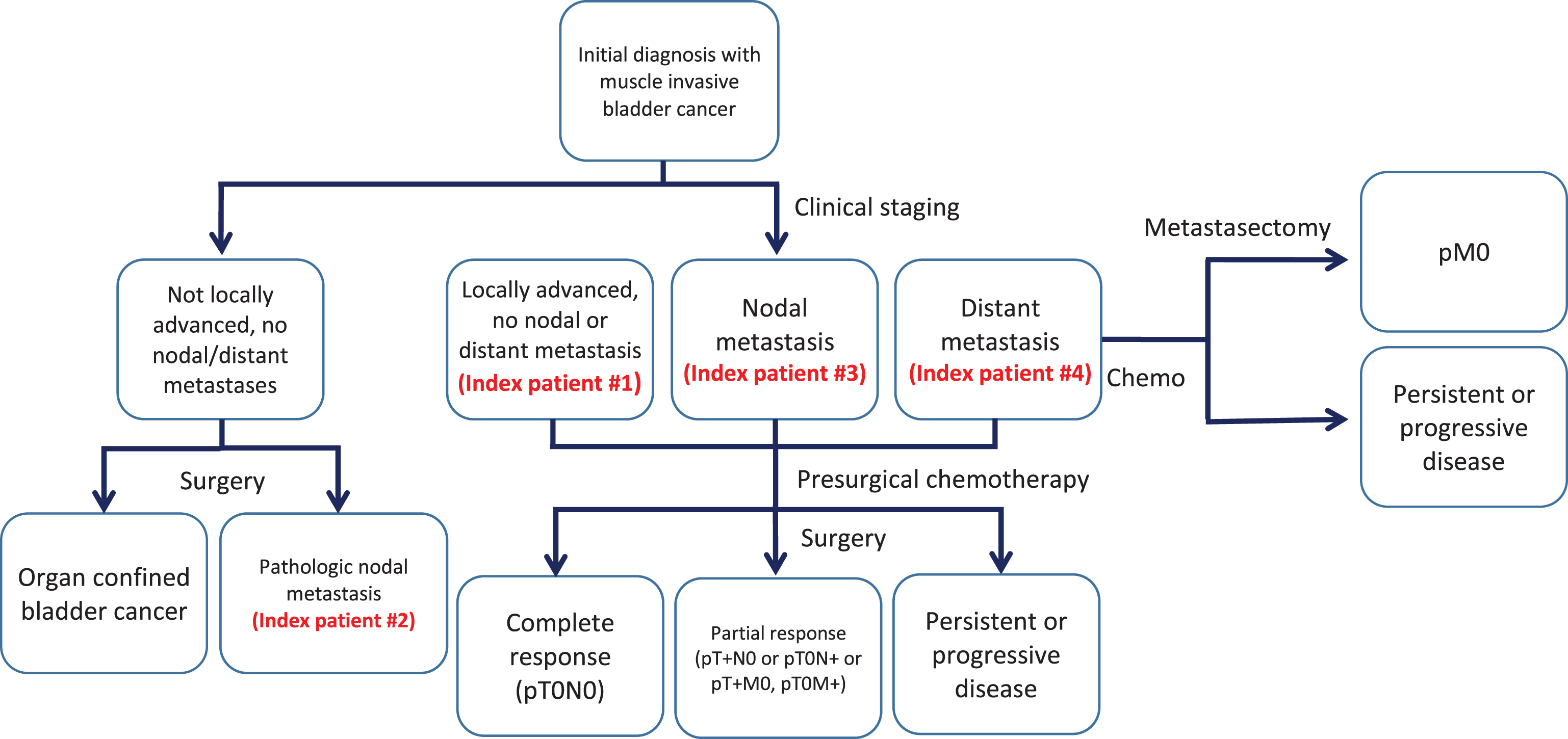 Flow diagram of patient categories and method of therapy.