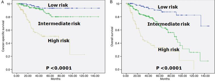 Kaplan-Meier survival curves in three risk group in patients who underwent radical cystectomy according to the prognostic classification. A. Cancer-specific survival (log-rank test for trend, p = 0.0010). Risk categories were determined by adding up the points for each of the following risk factors: ≥65 years (2 points), ≥pT3 (4 points), ≥pN1 (3 points), positive margin (2 pints), and variant forms except squamous differentiation (4 points). The prognostic index was categorized in three groups: low- (0 to 1 point), intermediate- (2 to 5 points), and high-risk (6 or higher points). B. Overall survival (log-rank test for trend, p = 0.0100). Risk categories were determined by adding up the points for each of the following risk factors: ≥65 years (4 points), ≥pT3 (4 points), ≥pN1 (3 points), and variant forms except squamous differentiation (3 points). The prognostic index was categorized in three groups: low- (0 to 2 points), intermediate- (3 to 7 points), and high-risk (8 or higher points).