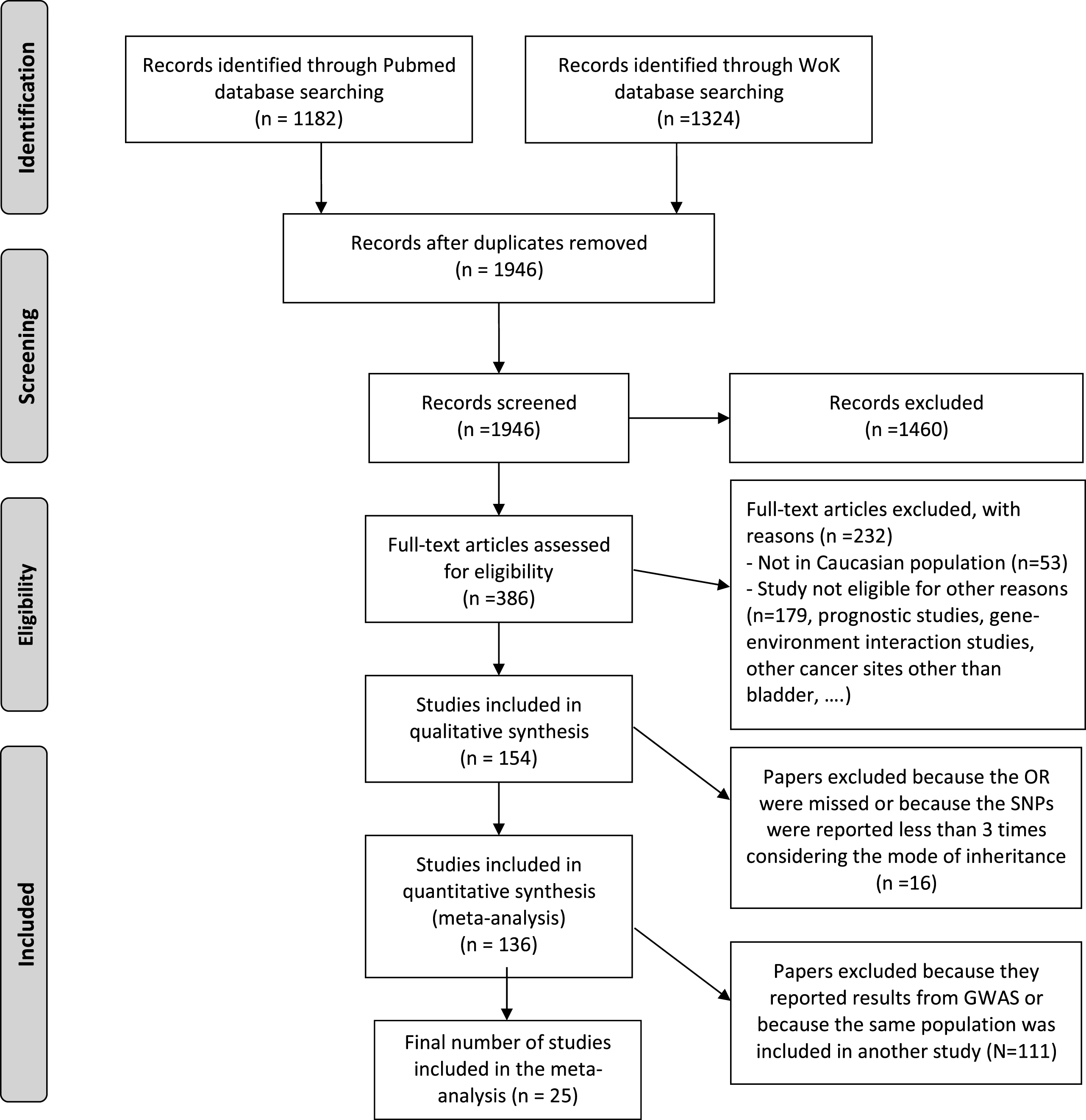 PRISMA 2009 Flow Diagram detailing the article selection steps to guide the systematic review and metaanalysis on genetic variants associated with bladder cancer based on a candidate approach.