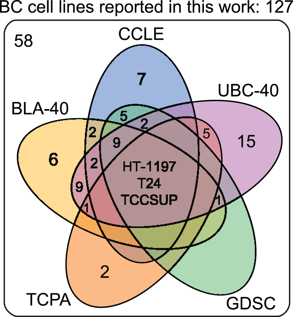 Venn diagram of human bladder cancer cell lines analyzed in five panels. 127 human BC cell lines are present in five panels. The overlap between different molecular panels is visualized. Only HT-1197, T24 and TCCSUP have been profiled in all five panels. CCLE: The Cancer Cell Line Encyclopedia; UBC-40: Urothelial Bladder Cancer-40; GDSC: Genomics of Drug Sensitivity in Cancer; TCPA: The Cancer Proteome Atlas; BLA-40:Bladder-40.