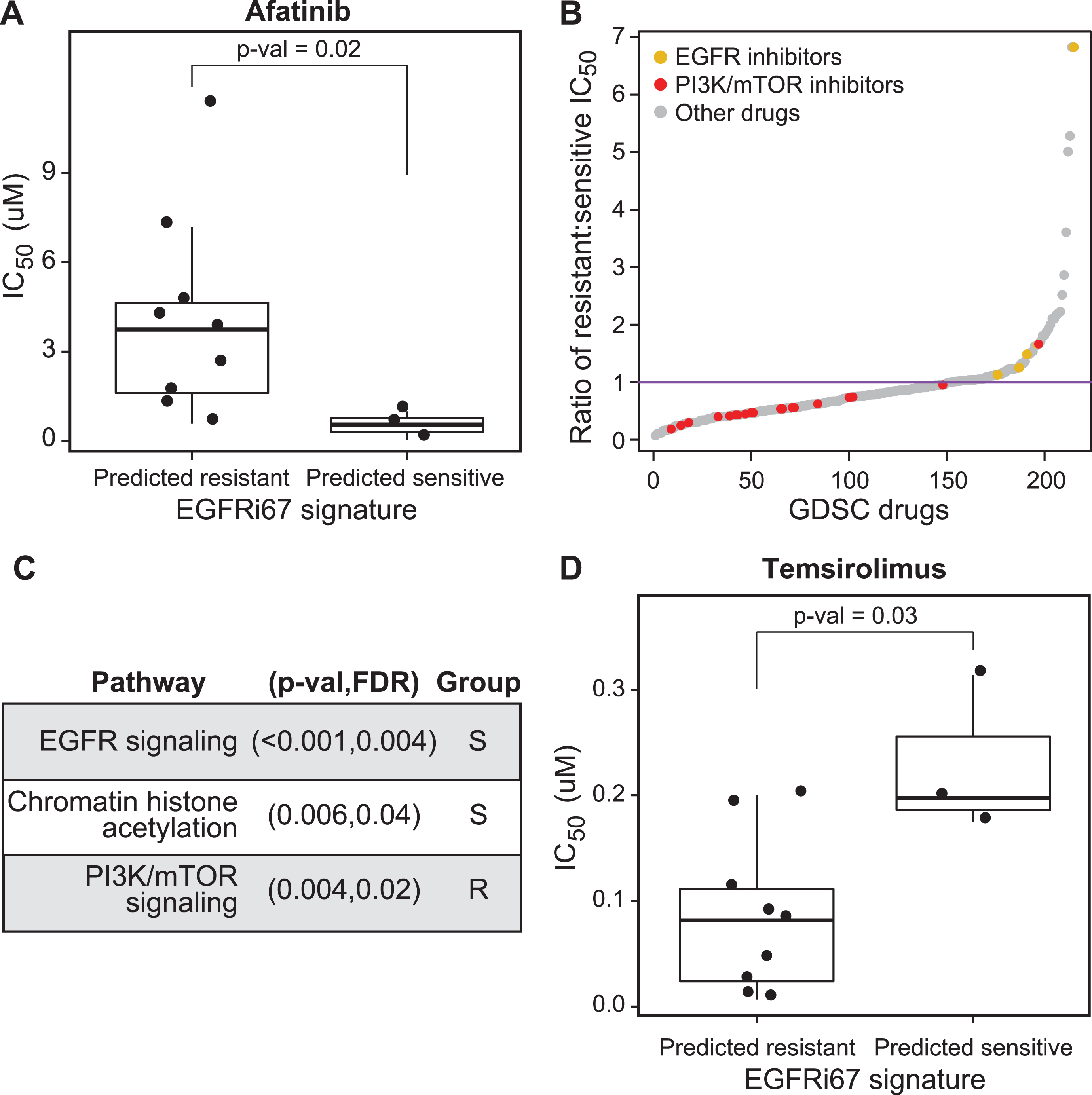 Evaluation of the EGFRi67 gene signature in bladder cancer cell lines from the GDSC. The EGFRi67 was applied to bladder cancer cell lines in the GDSC to predict sensitivity or resistance to EGFR inhibition. (A) The IC50 of afatinib is plotted according to EGFRi67 prediction (p = 0.02, Wilcoxon rank sum test). (B) The median IC50 for each drug was calculated for EGFRi67 sensitive and responsive GDSC cancer cell lines. (C) Enrichment analysis identified drugs targeting three pathways to be statistically significant (FDR <0.05, Kolmogorov Smirnov test). Whether the pathway targeted by the drug was more effective in the EGFRi67 sensitive (S) or resistant (R) cell lines is indicated. (D) The IC50 of temsirolimus is plotted according to EGFRi67 prediction (p = 0.03, Wilcoxon rank sum test).