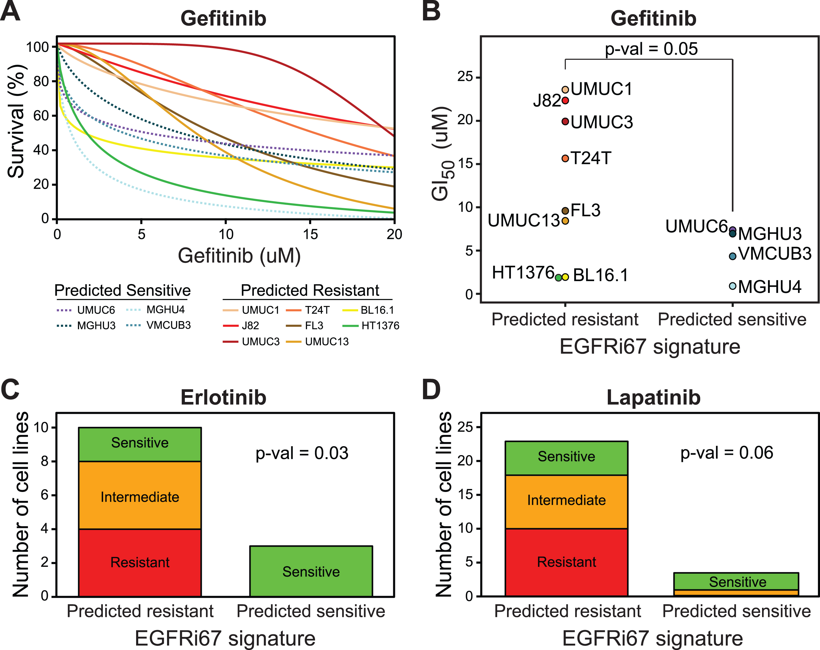 Prediction of EGFR inhibition sensitivity by the EGFRi67 gene signature in bladder cancer cell lines from the BLA40. The EGFRi67 was applied to the BLA40. (A) Dose response curves of 12 bladder cancer cell lines treated with gefitinib. (B) The bladder cancer cell lines were grouped by their predicted response to EGFR inhibition and the GI50 of each cell line is shown (p = 0.05, Wilcoxon rank sum test). Two publically available datasets were used to evaluate the prediction of (C) erlotinib and (D) lapatinib sensitivity by the EGFRi67 (p = 0.03 and p = 0.06, respectively, Fisher’s exact test).