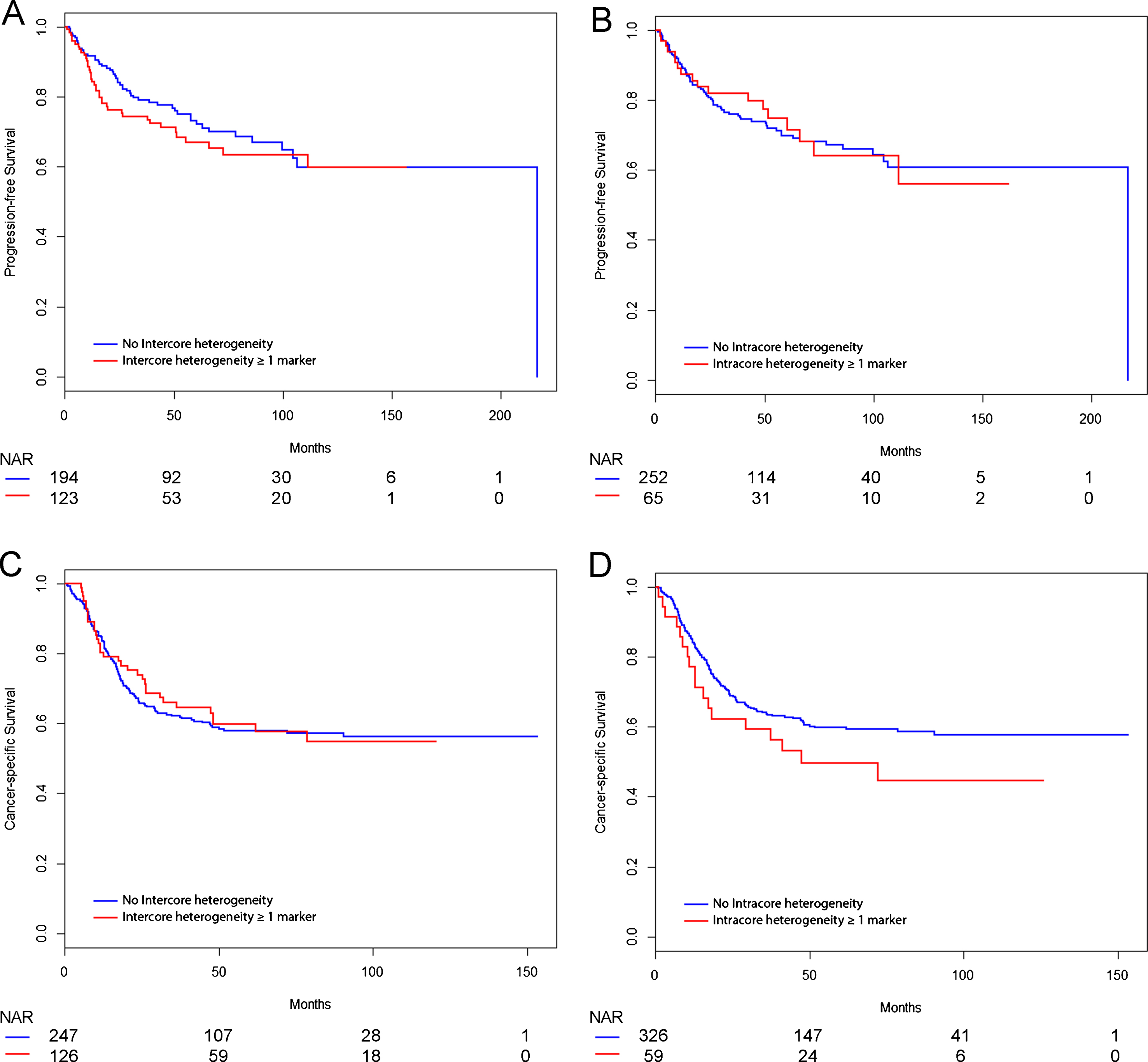 Kaplan-Meier curves showing survival analysis. Progression-free survival (PFS) analysis included 317 patients, and cancer-specific survival (CSS) analysis comprised 373 patients stratified for intercore heterogeneity and 385 patients stratified for intracore heterogeneity. Univariate Cox regression analysis showed no significant differences in PFS or CSS. (A) PFS for intercore heterogeneity in one or more markers. (B) PFS for intracore heterogeneity in one or more markers. (C) CSS for intercore heterogeneity in one or more markers. (D) CSS for intracore heterogeneity in one or more markers. NAR, Numbers at risk.