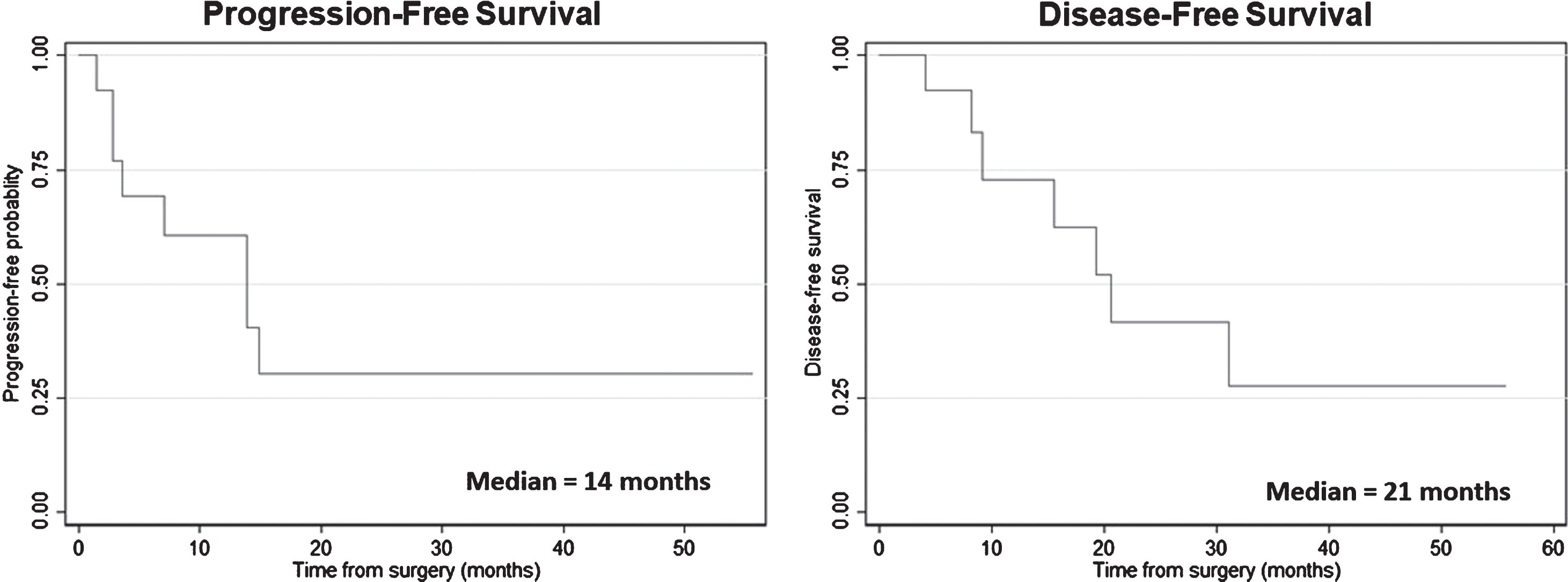 Kaplan-Meier survival plots for cancer-specific survival for the entire cohort.