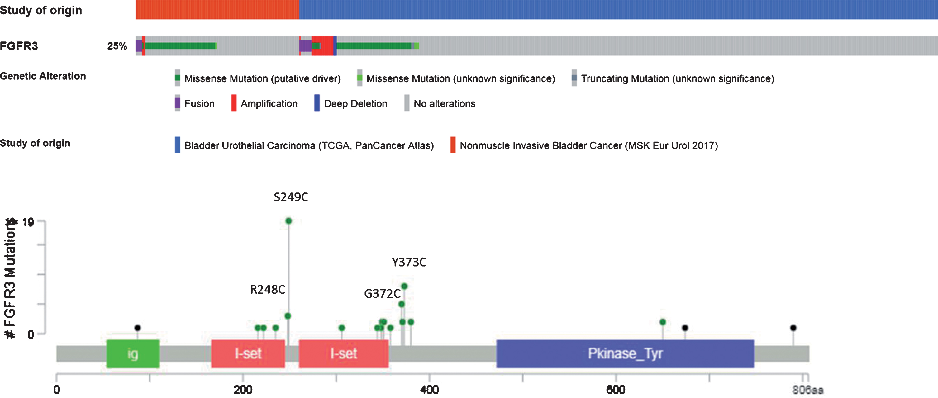 Pattern of FGFR3 DNA alterations (from cBioportal website).