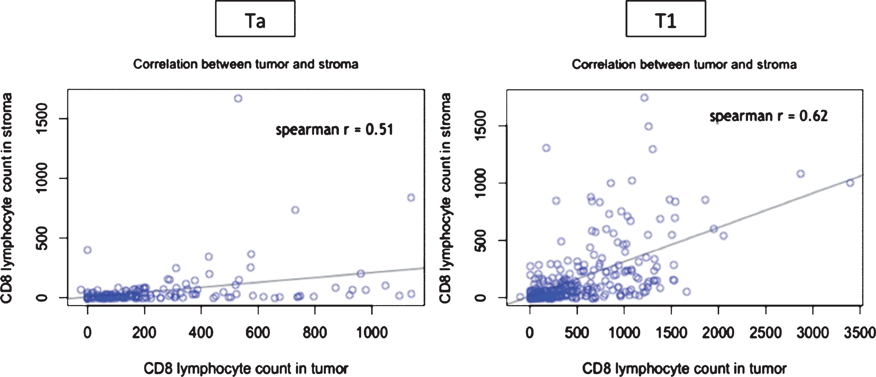 Correlation between tumour and stroma CD8+ count according to tumour stage (Ta vs T1). Each blue spot represents a patient. X-axis figures the CD8 count in the tumor and the Y-axis in the stroma.