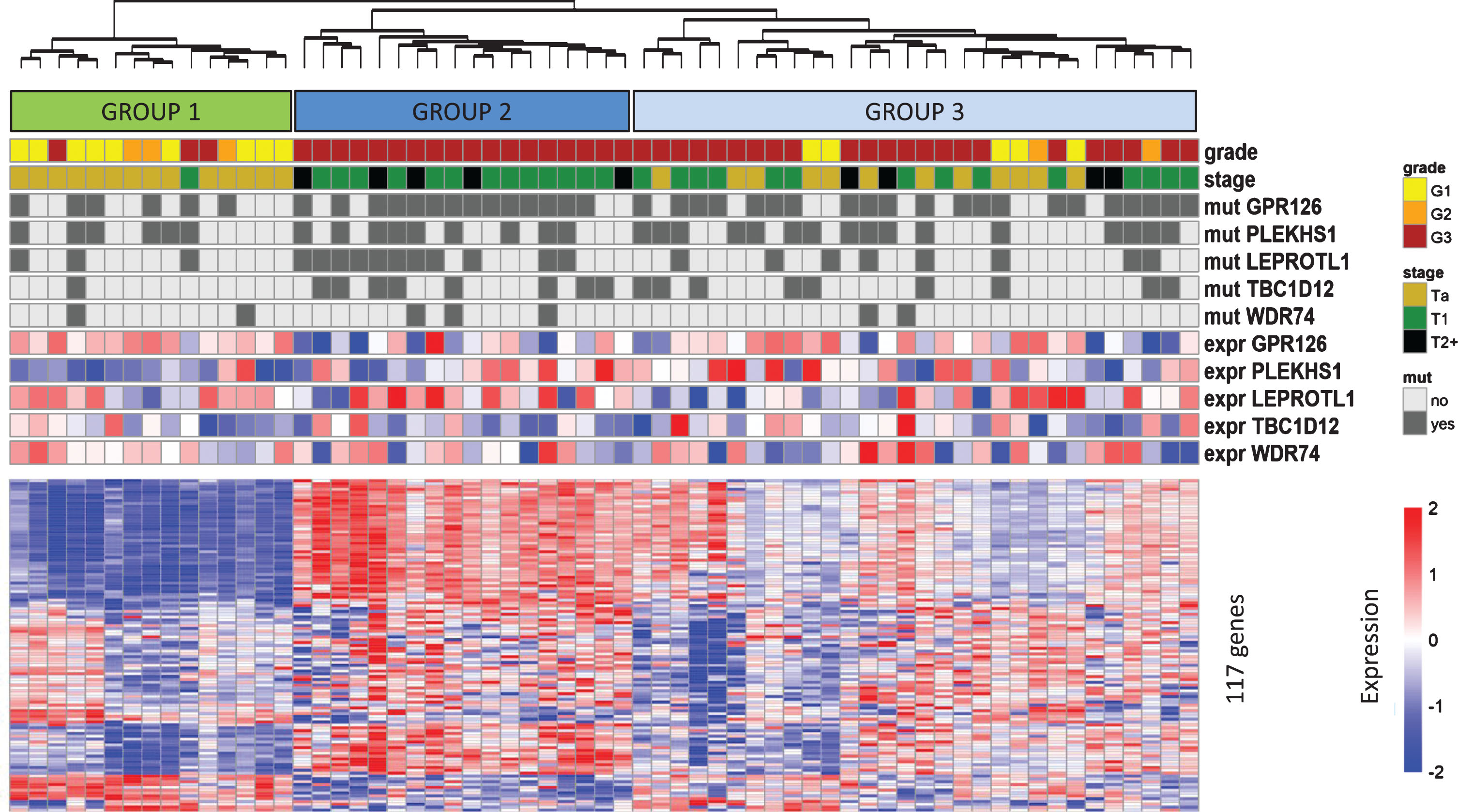 The distribution of recurrent non-coding mutations across expression subtypes. Samples were clustered on the expression of 117 genes as described by Hedegaard et al. [28]. Expression levels are z-scores of regularized log counts, and the samples are clustered with Pheatmap (v.1.0.10) using complete linkage hierarchical clustering and Euclidian distance.