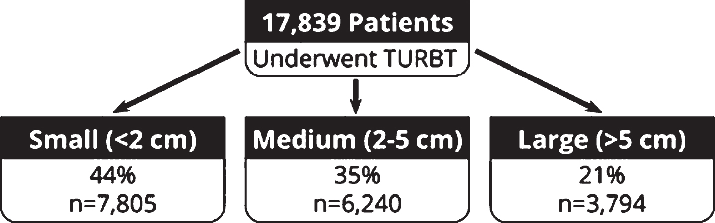 Cohort stratification by tumor resection size.