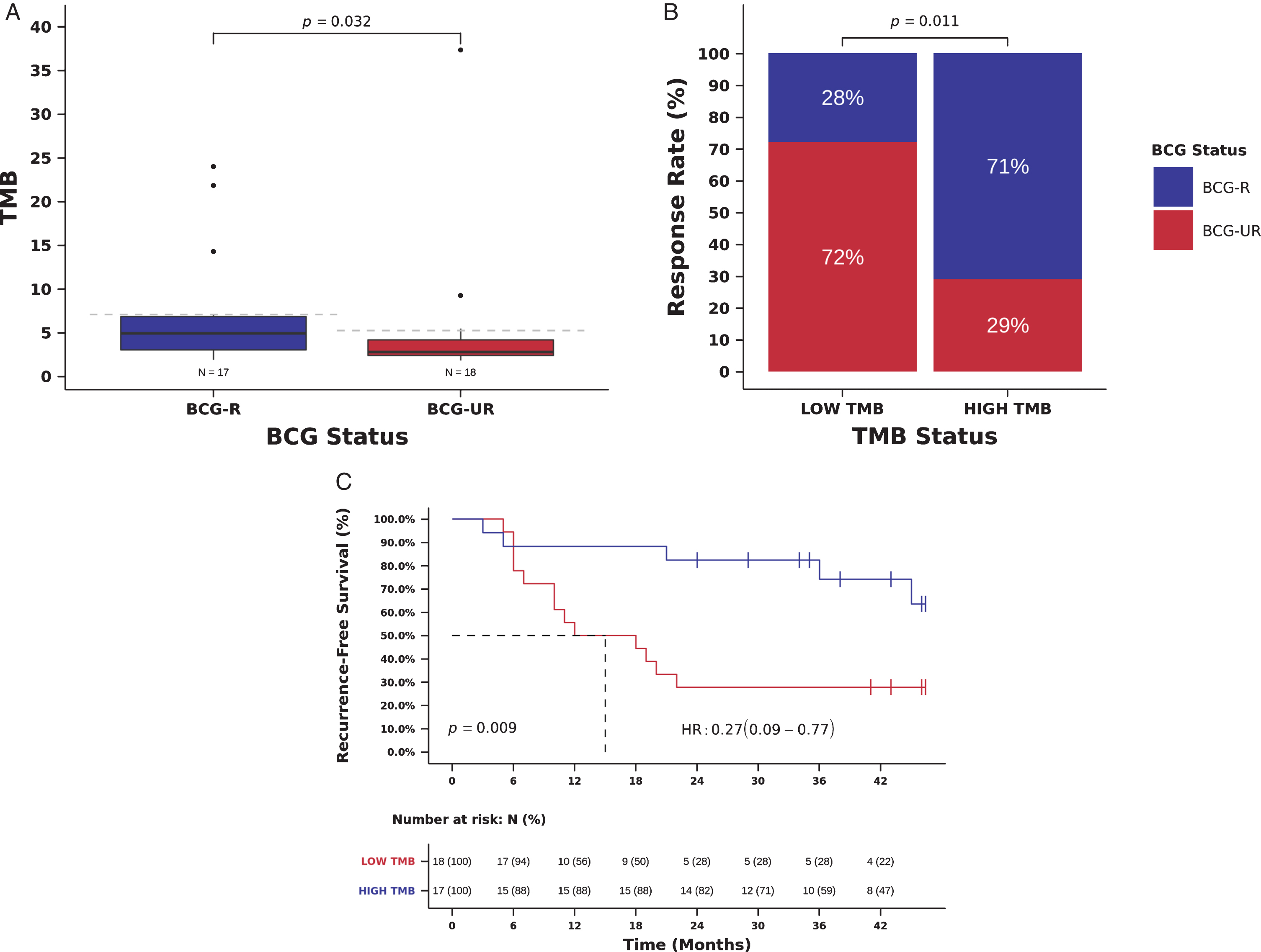 TMB and benefit from BCG immunotherapy. (A) TMB in tumors from patients responsive (BCG-R) and unresponsive (BCG-UR) to BCG immunotherapy (TMB BCG-R=4.9 vs. BCG-UR=2.8, mutations/Mb, Mann-Whitney P = 0.032) (B) BCG response rate in patients harboring tumors with high TMB (HIGH-TMB) compared to tumors with low TMB (LOW-TMB) (RR HIGH-TMB=71% vs. LOW-TMB=28%, Odds Ratio (OR)=6.24, 95% CI: 1.44-27.06, Pearson Chi-Square P = 0.011) (C) Kaplan-Meier curve for recurrence-free survival after BCG immunotherapy for patients harboring tumors with HIGH-TMB compared to tumors with LOW-TMB. (RFS HIGH-TMB=38 vs. LOW-TMB=15 months, Hazard Ratio (HR)=0.27, 95% CI: 0.10- 0.77, Log-rank P = 0.009).